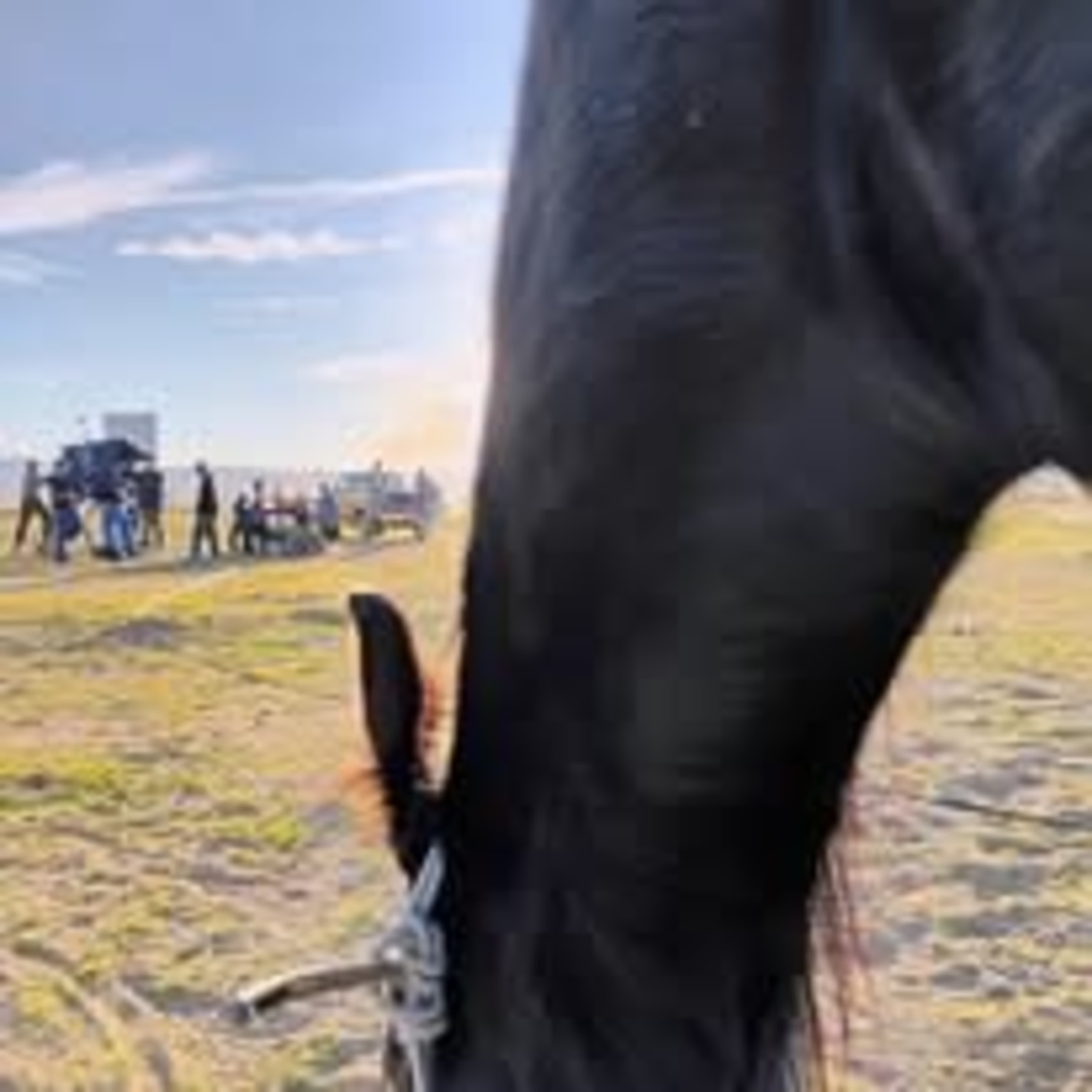 5 acre ranch currently surrounded by green pastures!! You won't find this setting anywhere else, so close to LA. Image in , Lancaster, CA