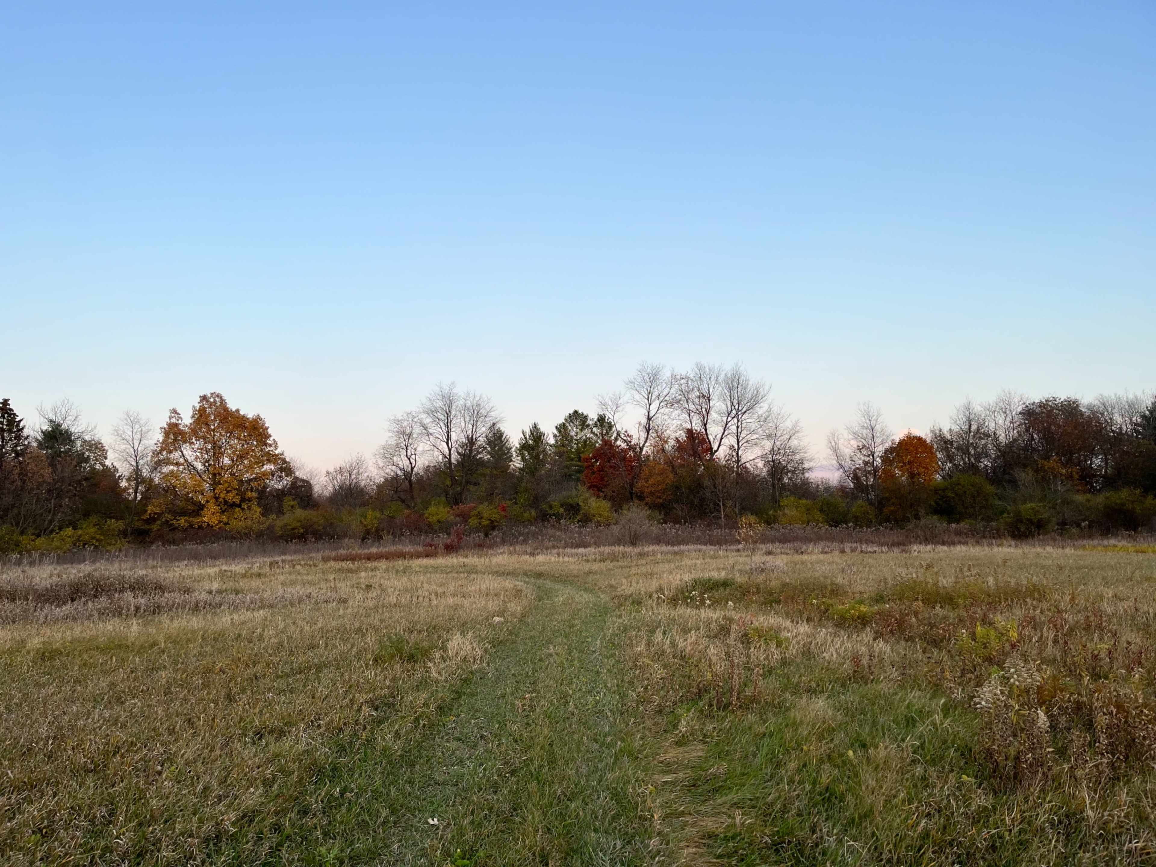 A grassy path winds through an open field surrounded by trees with autumn foliage.