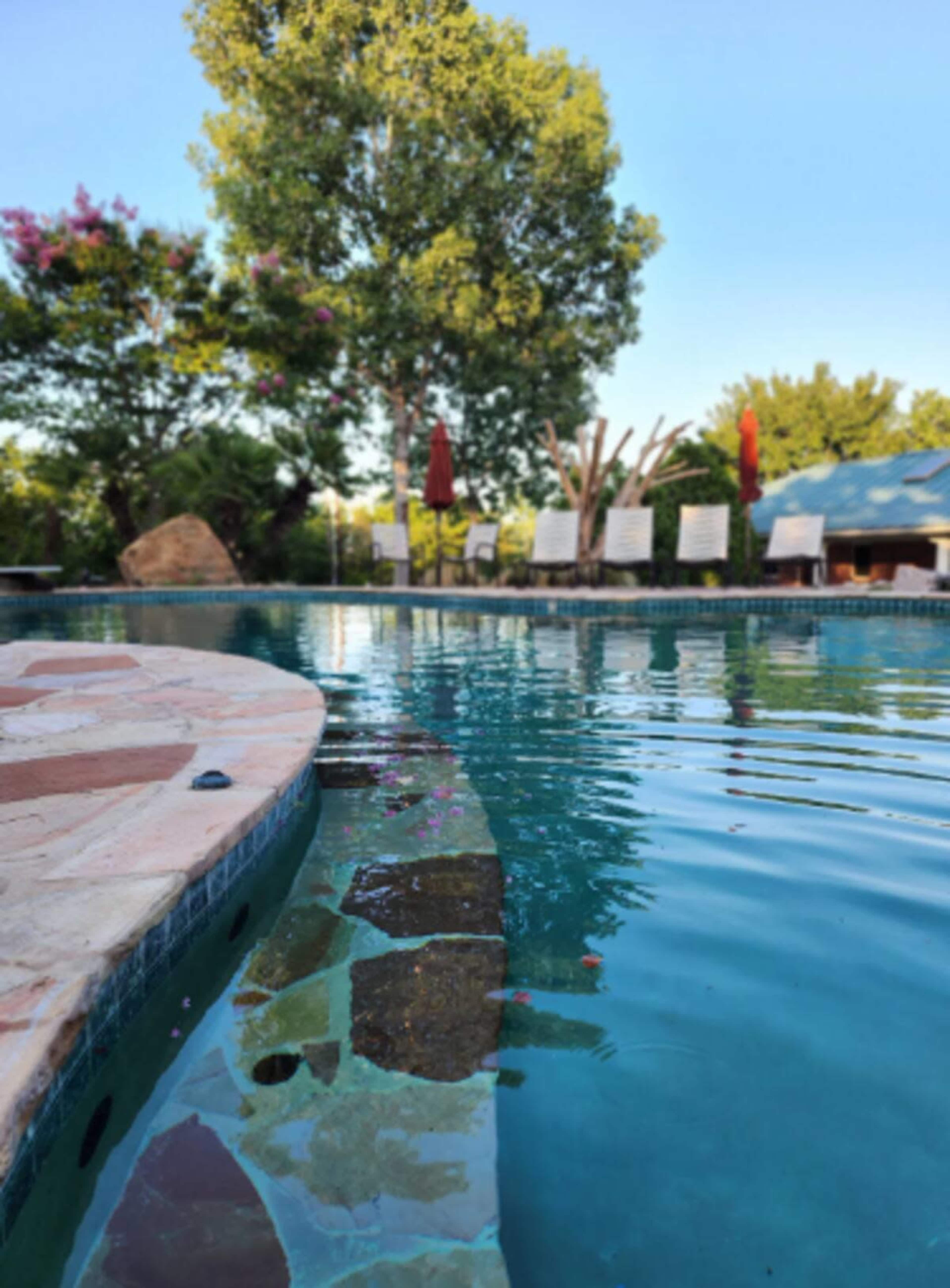 ☆THE BIG HAUS ☆ EVENT OASIS ☆ Image in , New Braunfels, TX