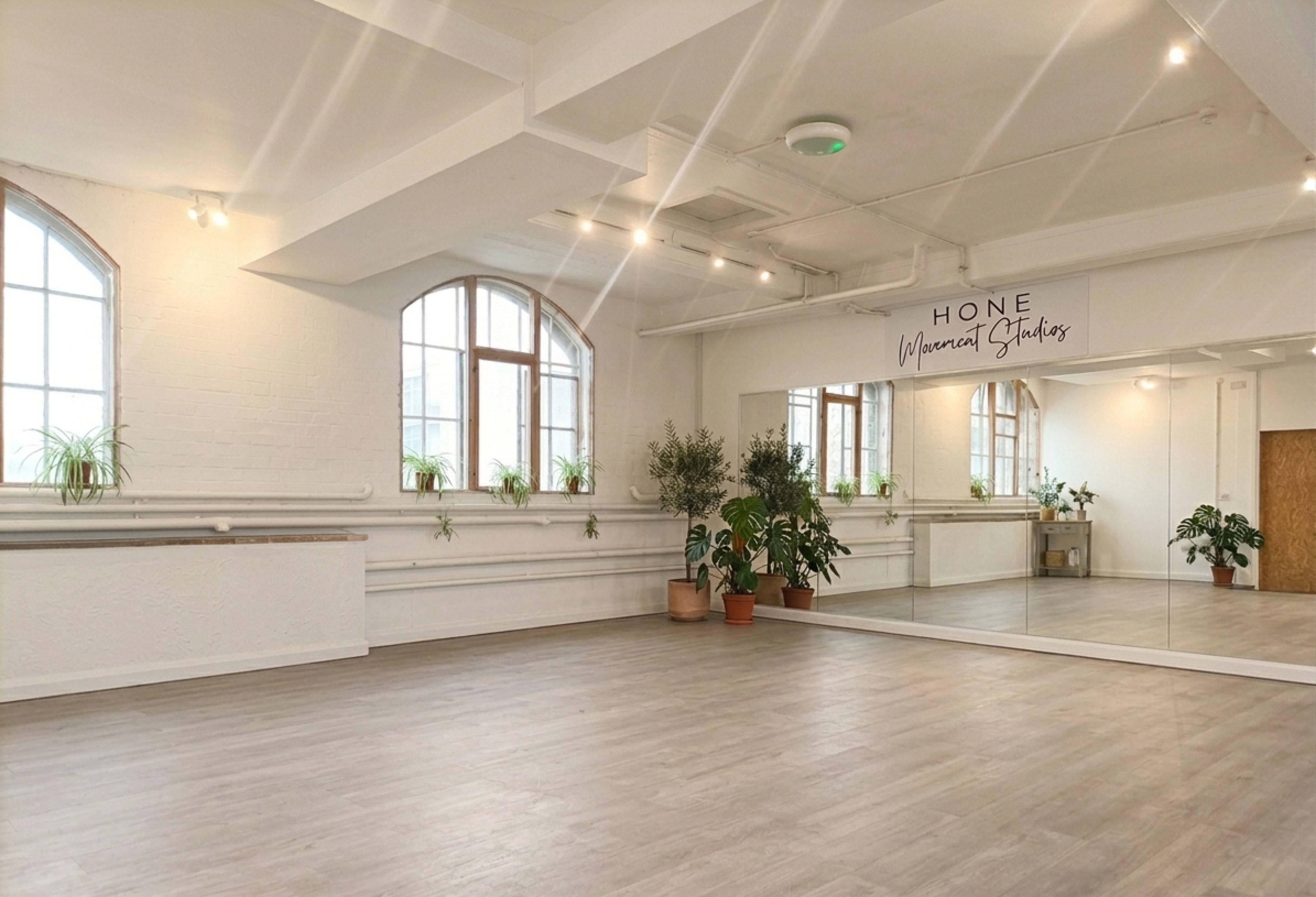 The image shows a spacious and well-lit studio with large windows, wooden flooring, plants in pots, and a mirrored wall with the sign "HONE Wellness Studios."