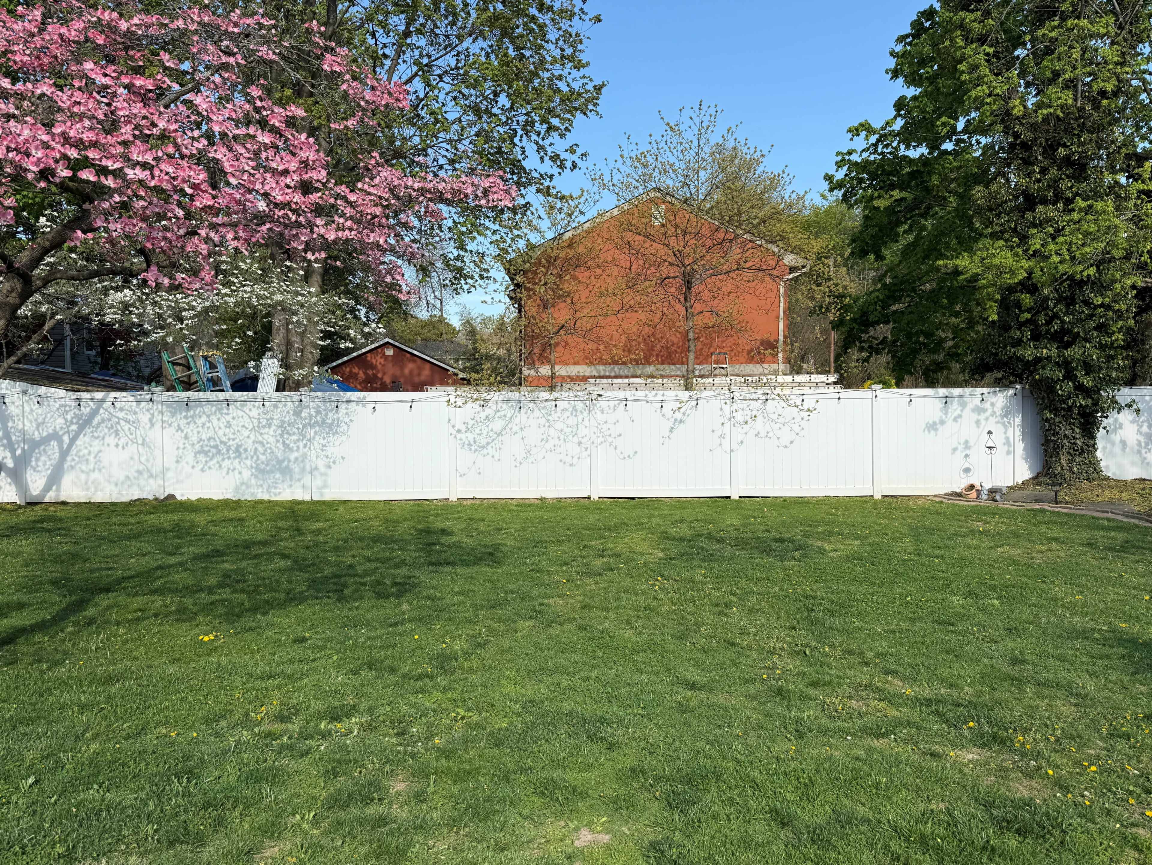 A white vinyl fence encloses a grassy yard with a blooming pink tree and a red building in the background.