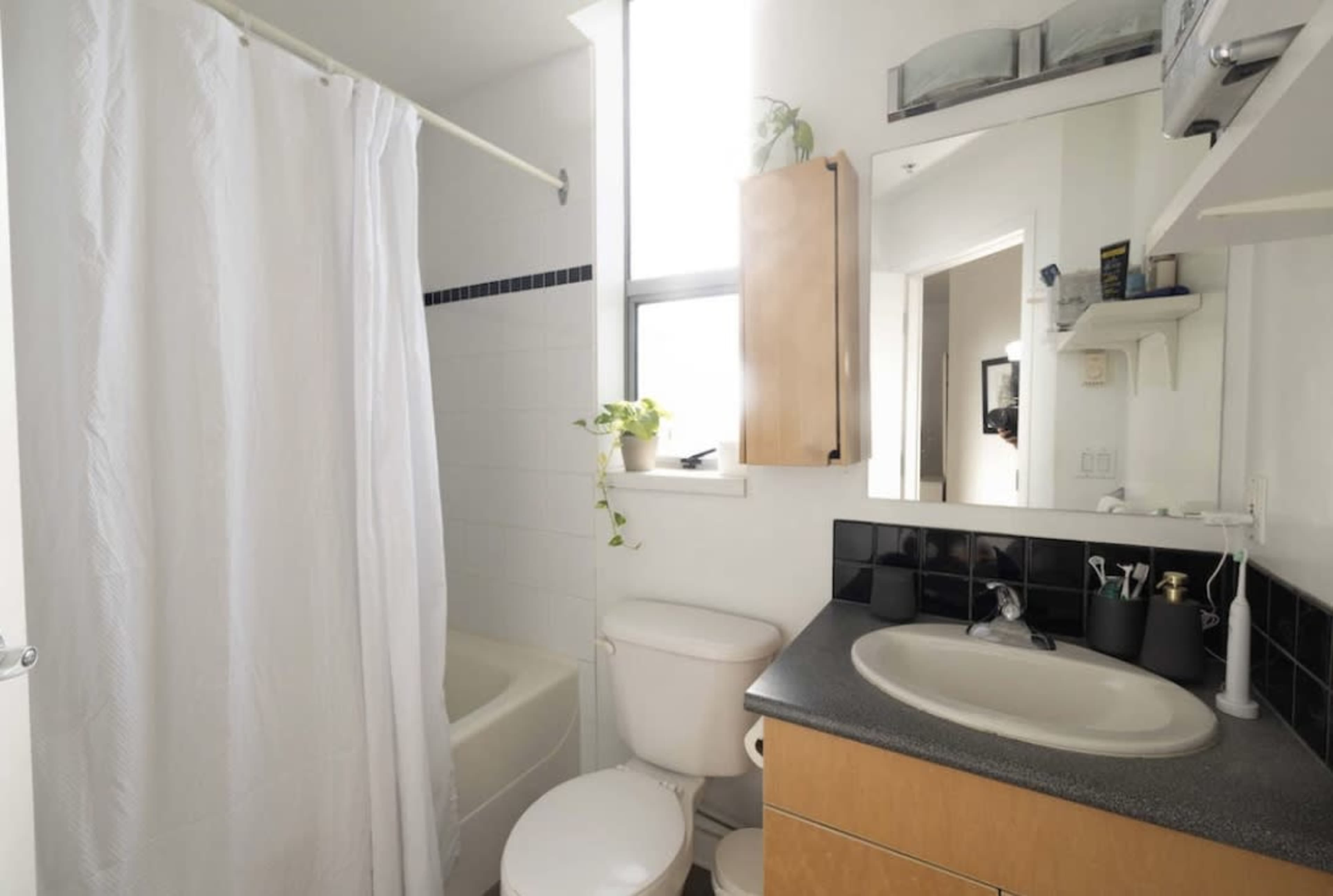 A small bathroom featuring a bathtub with a shower curtain, a toilet, a sink with a countertop, and a mirrored cabinet on the wall.