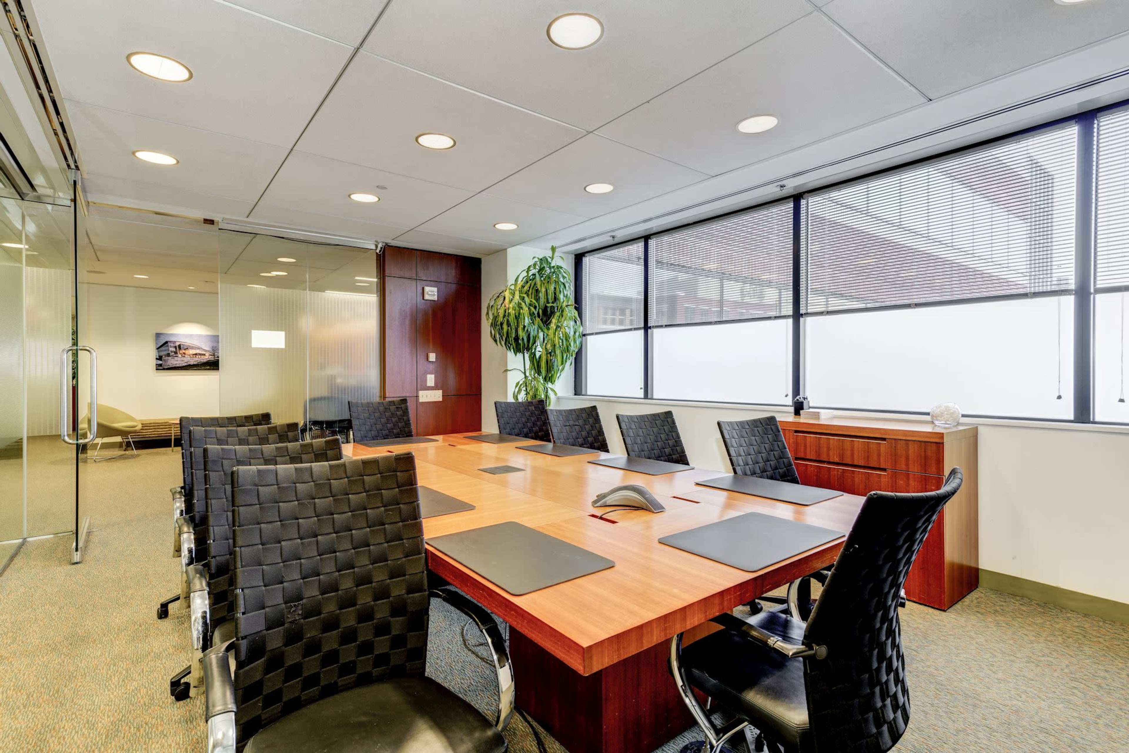 A conference room features a large wooden table surrounded by black chairs, with a potted plant and large windows allowing natural light.