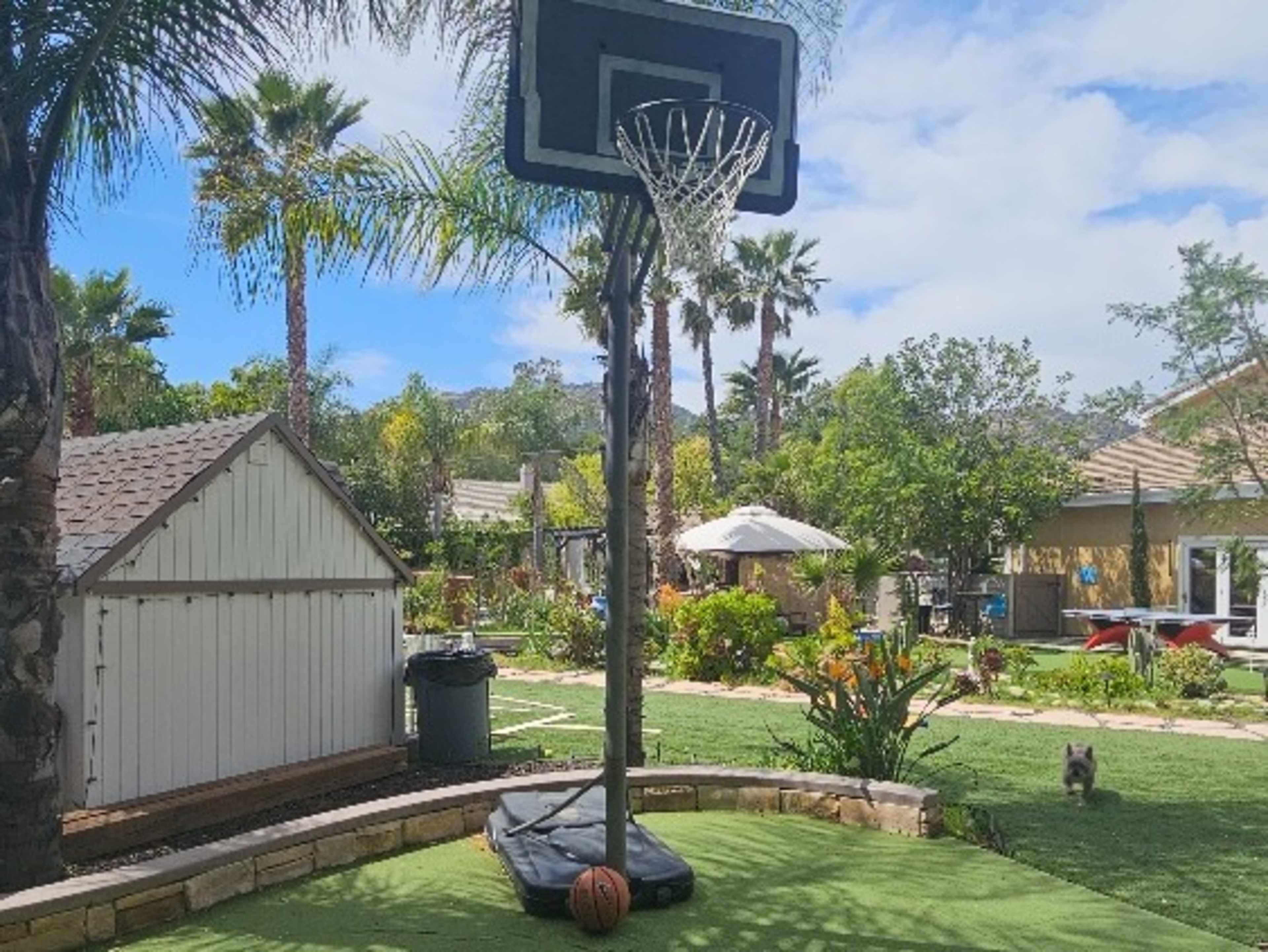 Basketball hoop