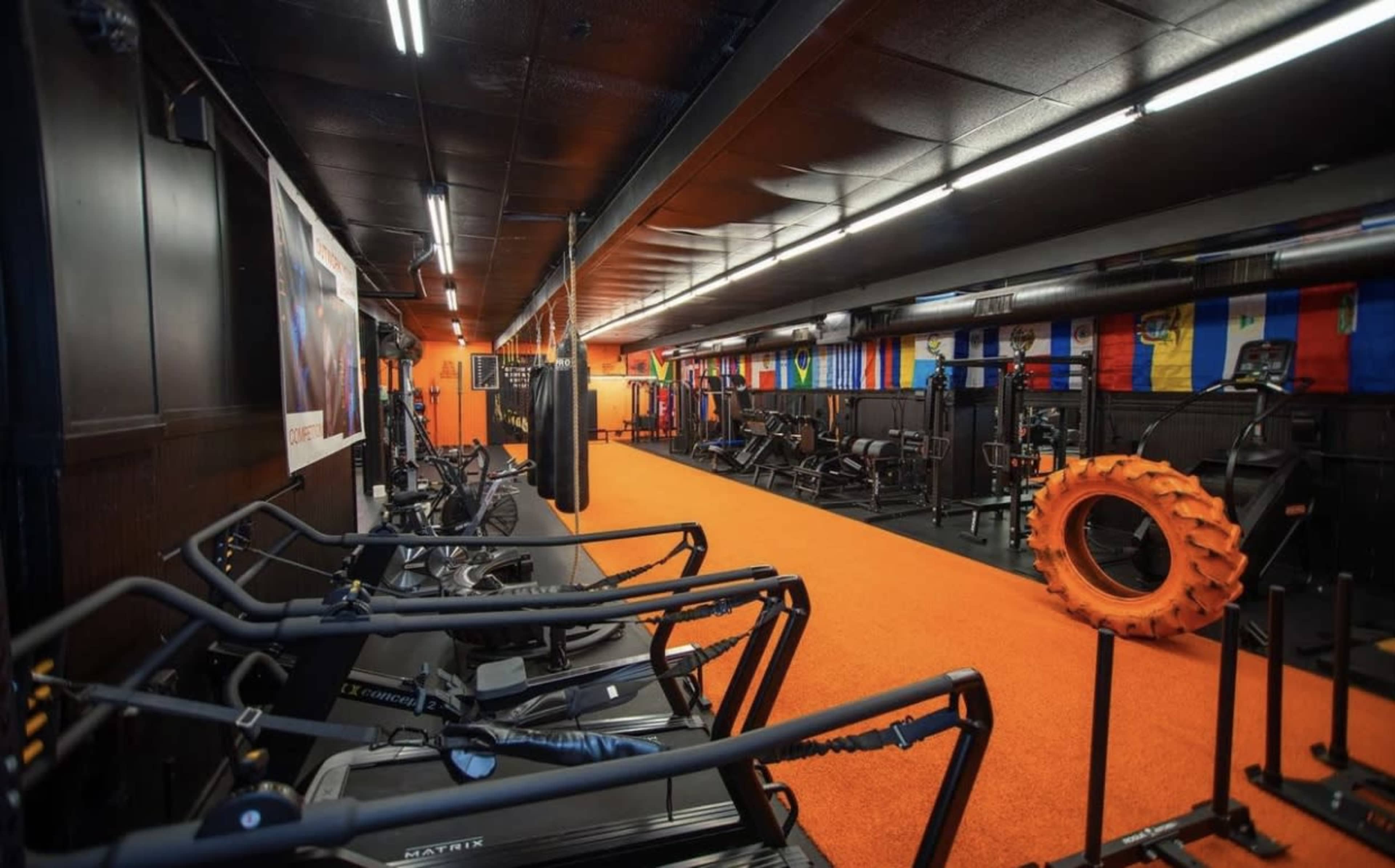 A workout space equipped with exercise machines, free weights, and an orange carpet lining the floor.