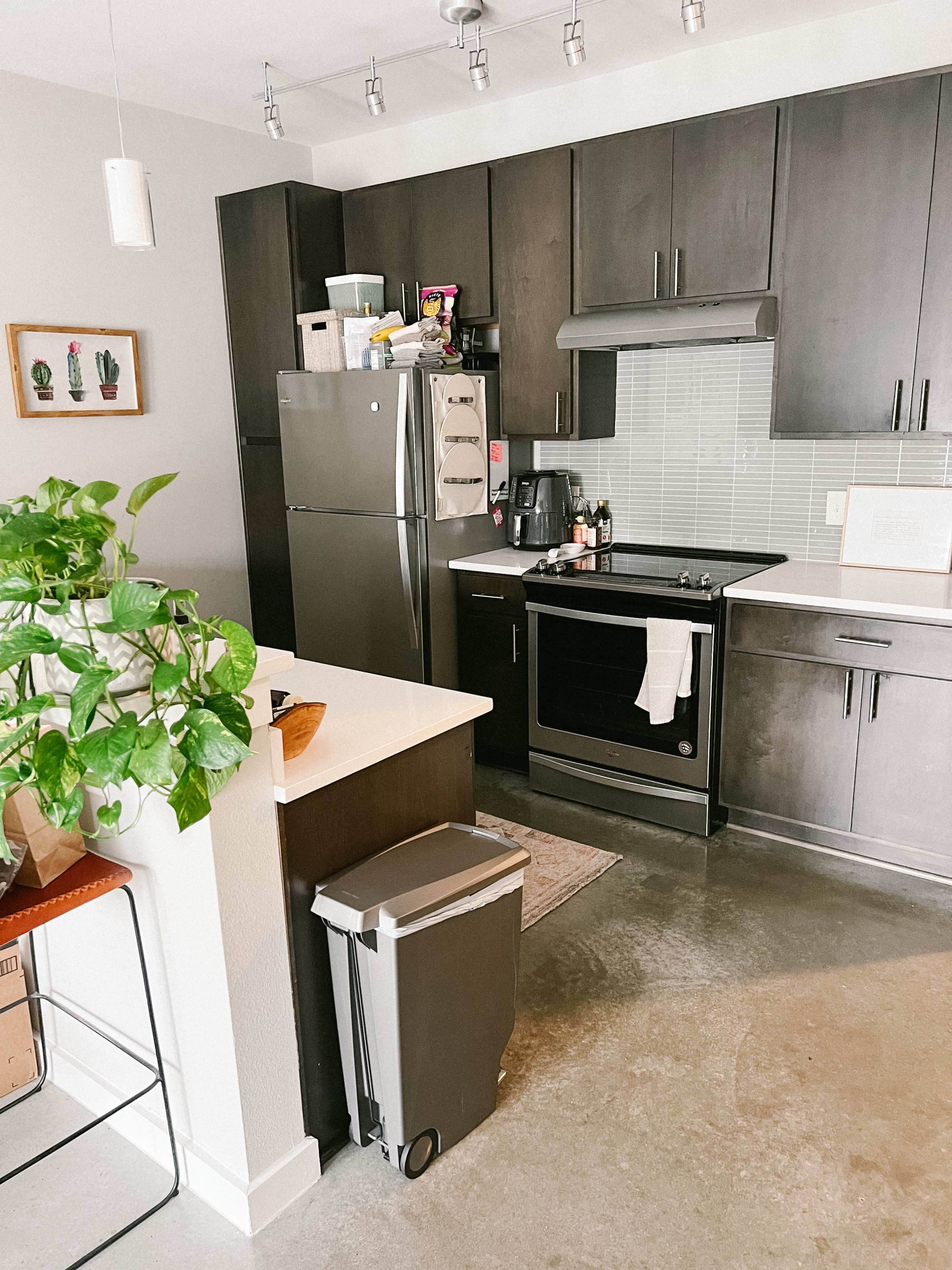 A modern kitchen with dark cabinetry, stainless steel appliances, and a plant on a counter.