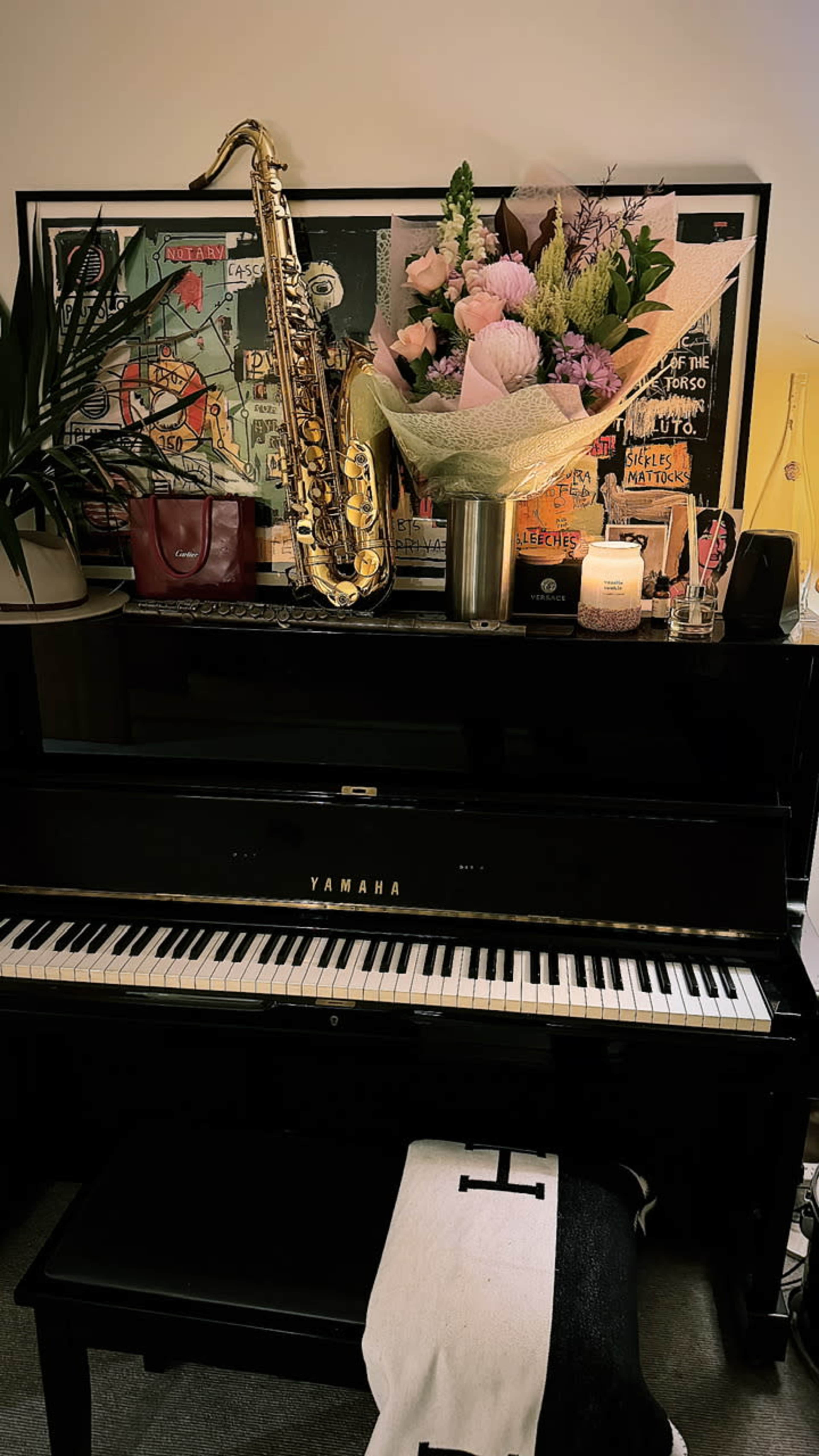 Piano cozy apartment Image in South Yarra, Melbourne, VIC