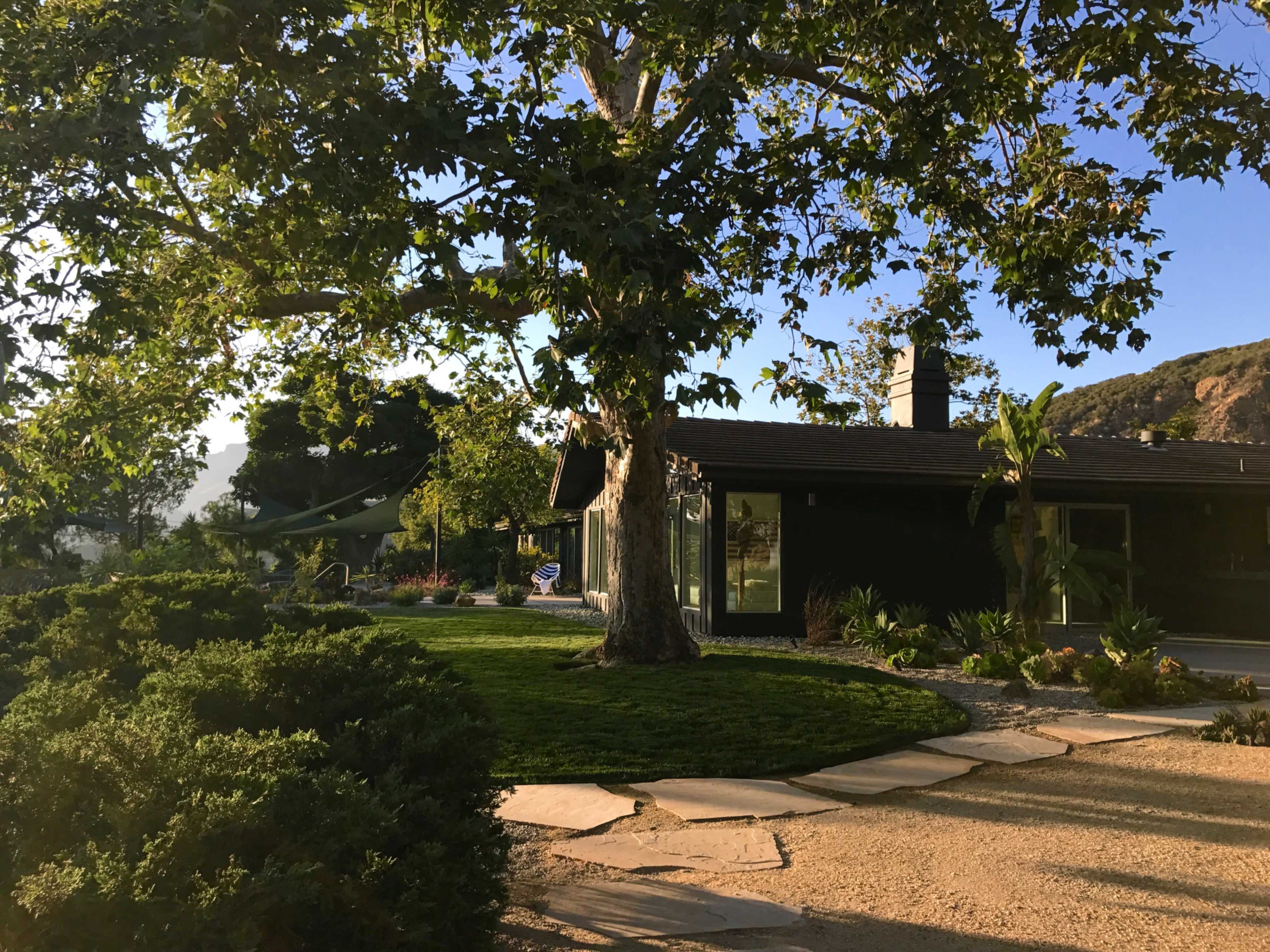 A modern house with large windows is surrounded by greenery and a tree, with a gravel pathway leading up to it.