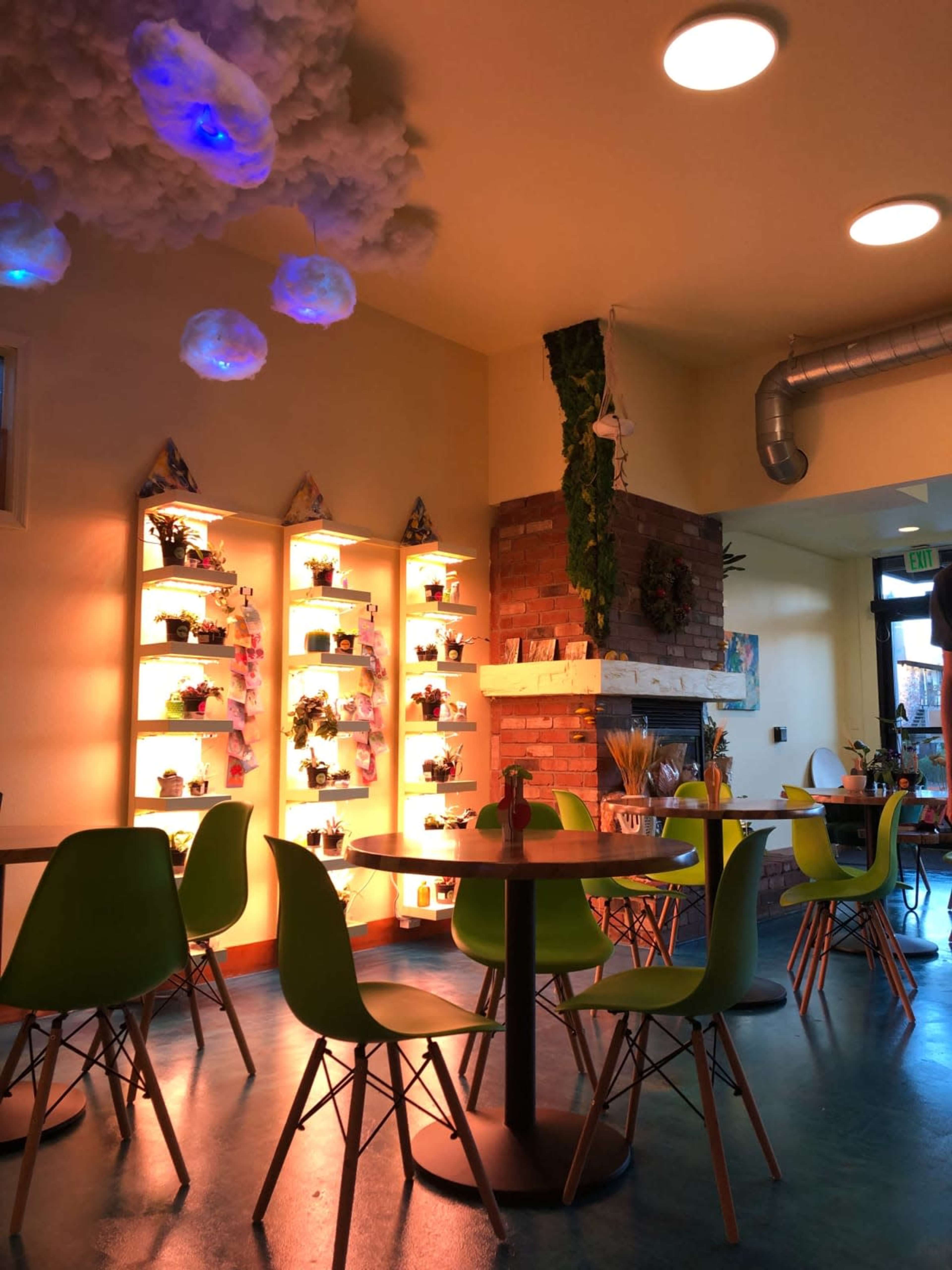 The image shows a brightly lit café interior with green chairs, wooden tables, and shelves displaying potted plants against a warm-toned wall.