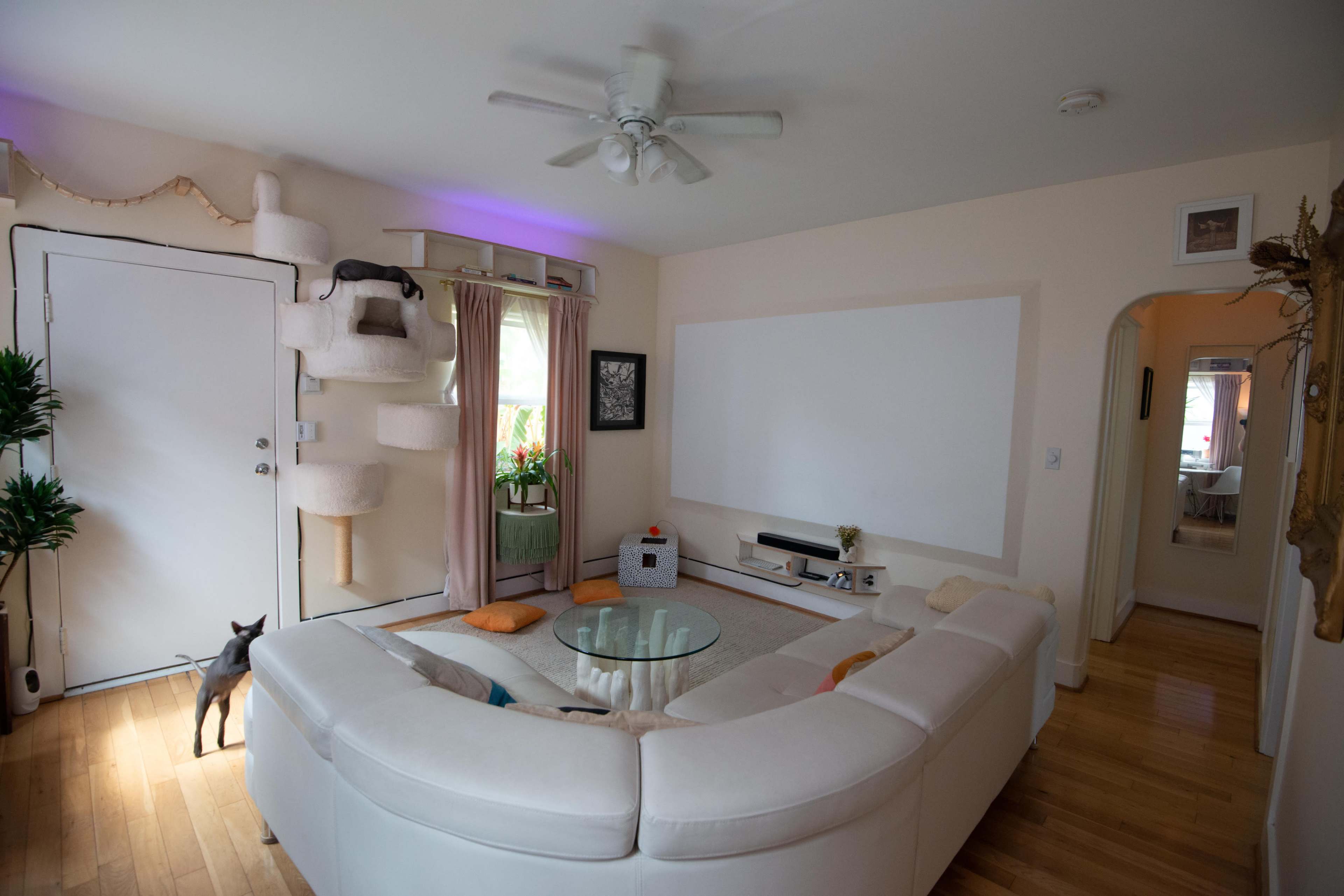 A modern living room features a white sectional sofa, a glass coffee table, a large wall area, and a tall cat tree beside the entrance.