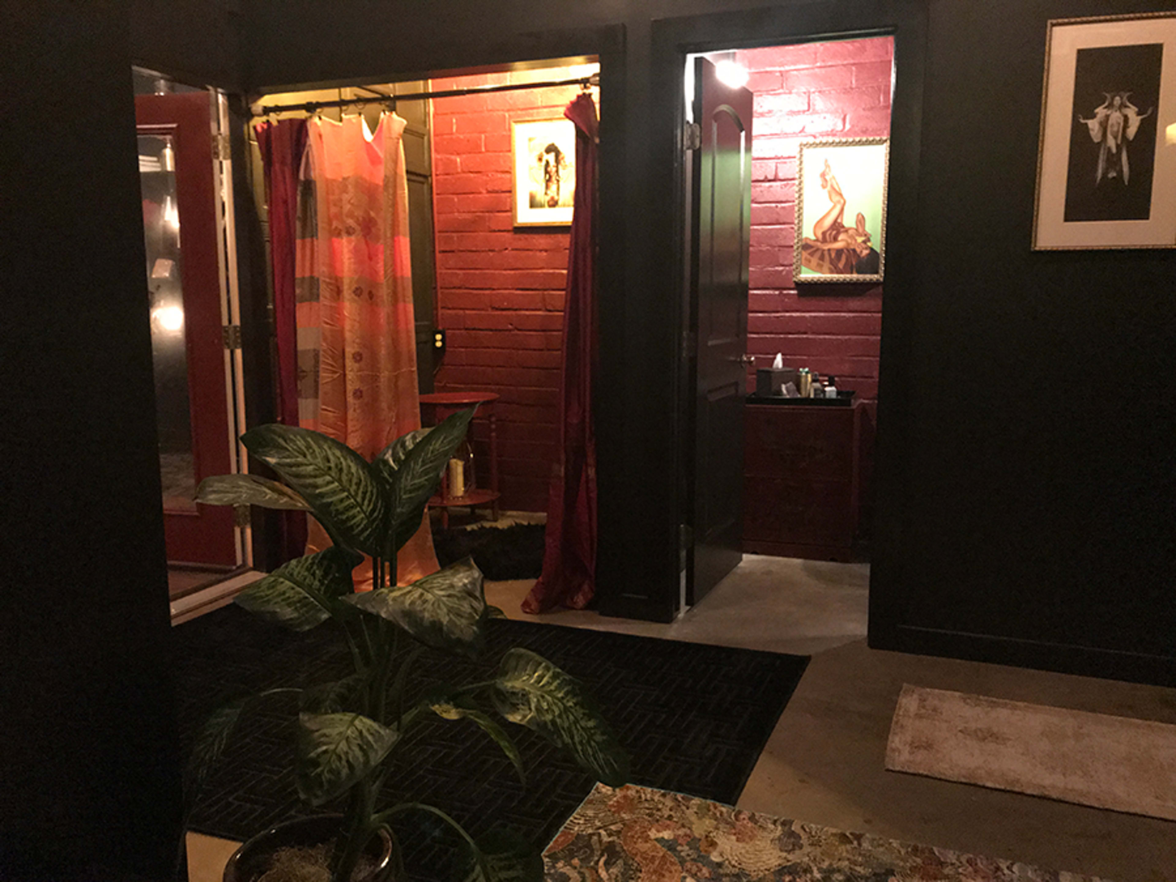A dimly lit interior space with a plant in the foreground, a patterned rug on the floor, and doorways leading to areas decorated with curtains and artwork.