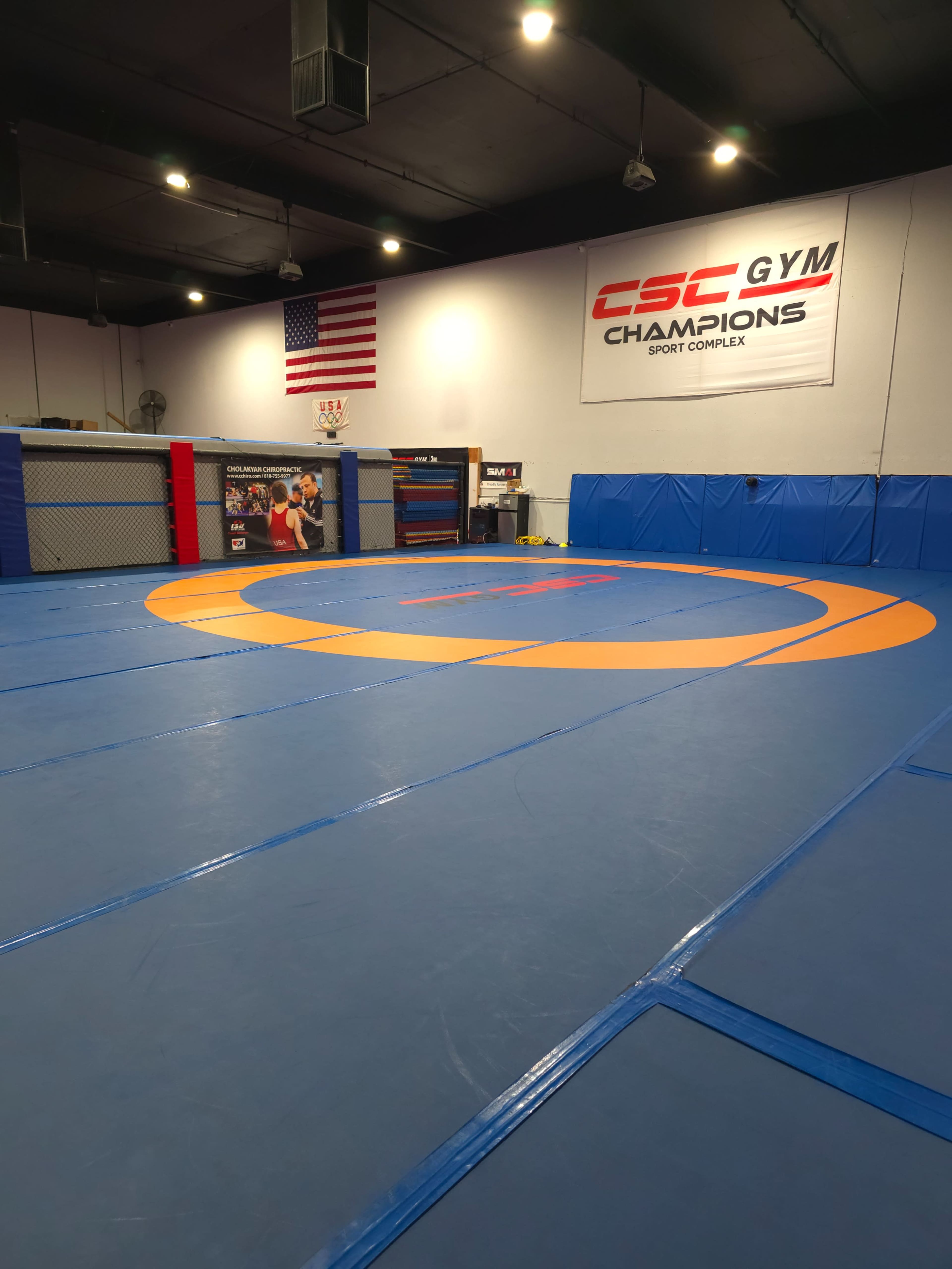 The image shows an empty martial arts training facility with a blue mat marked by an orange circle and equipped with a cage and various training equipment against the walls.
