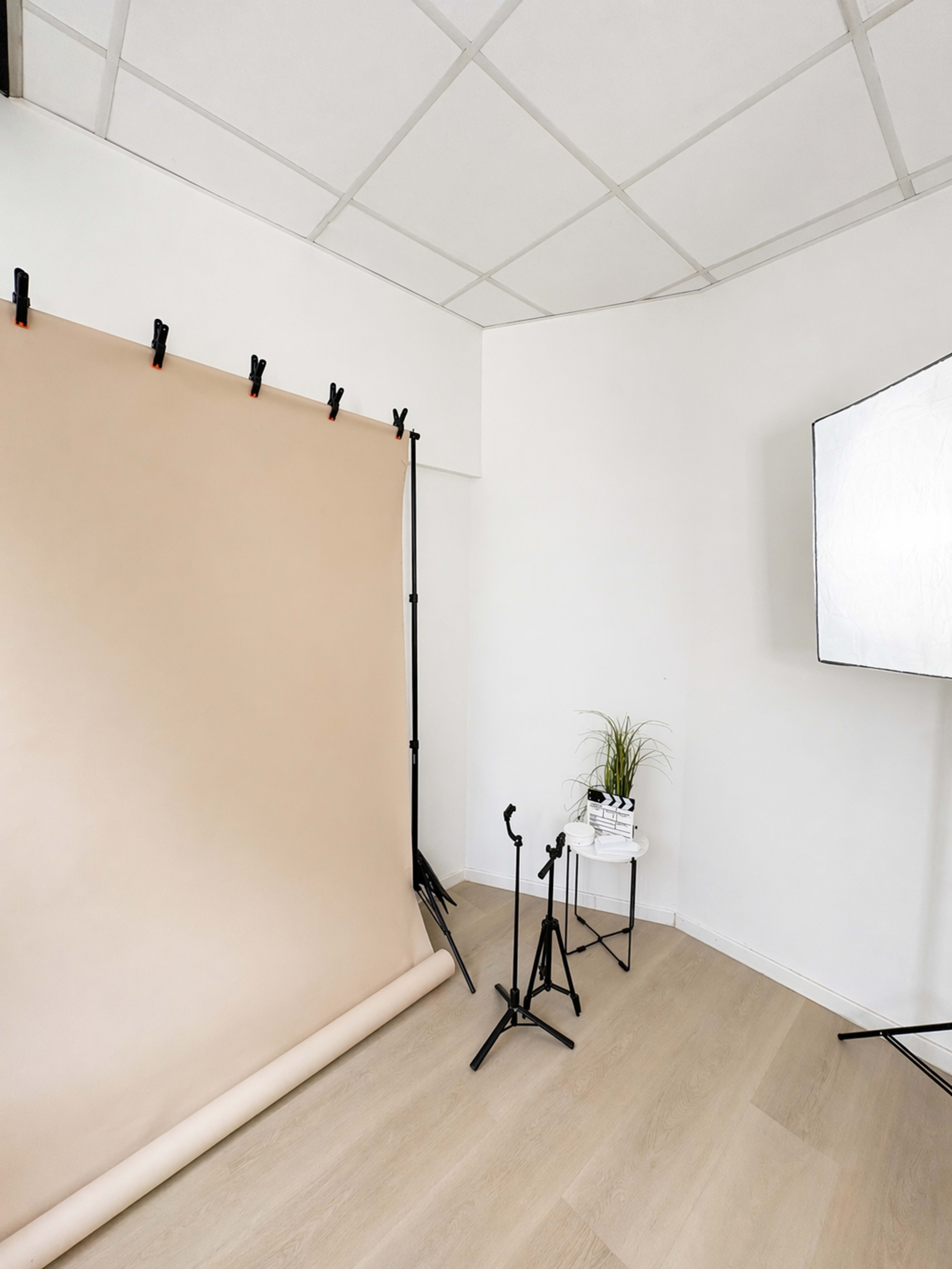 The image shows a photography studio featuring a large beige backdrop, a light reflector on a stand, and minimalist decor with a small plant on a table.