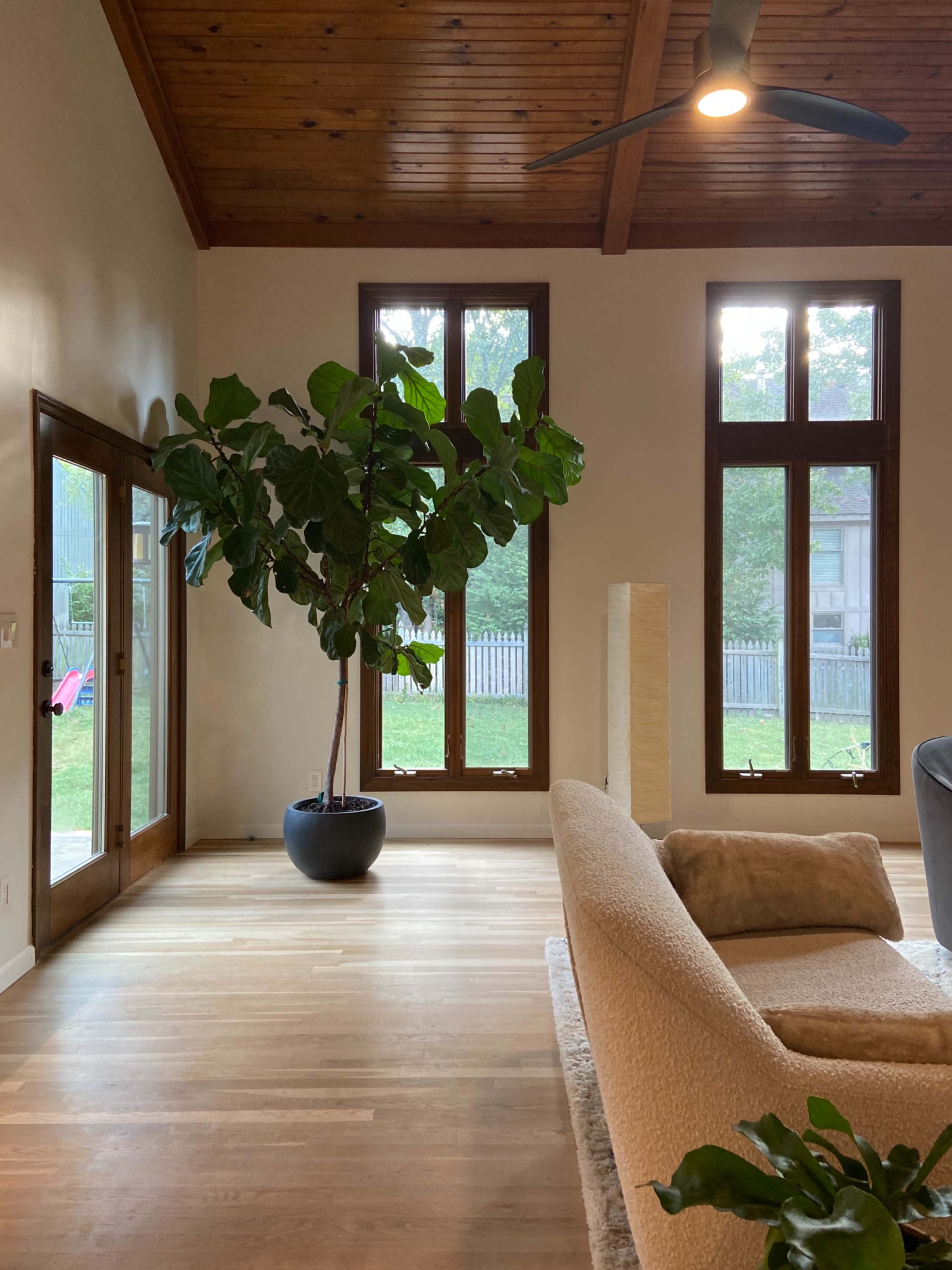 The image shows a spacious living room with large windows, a potted tree, and a modern couch.