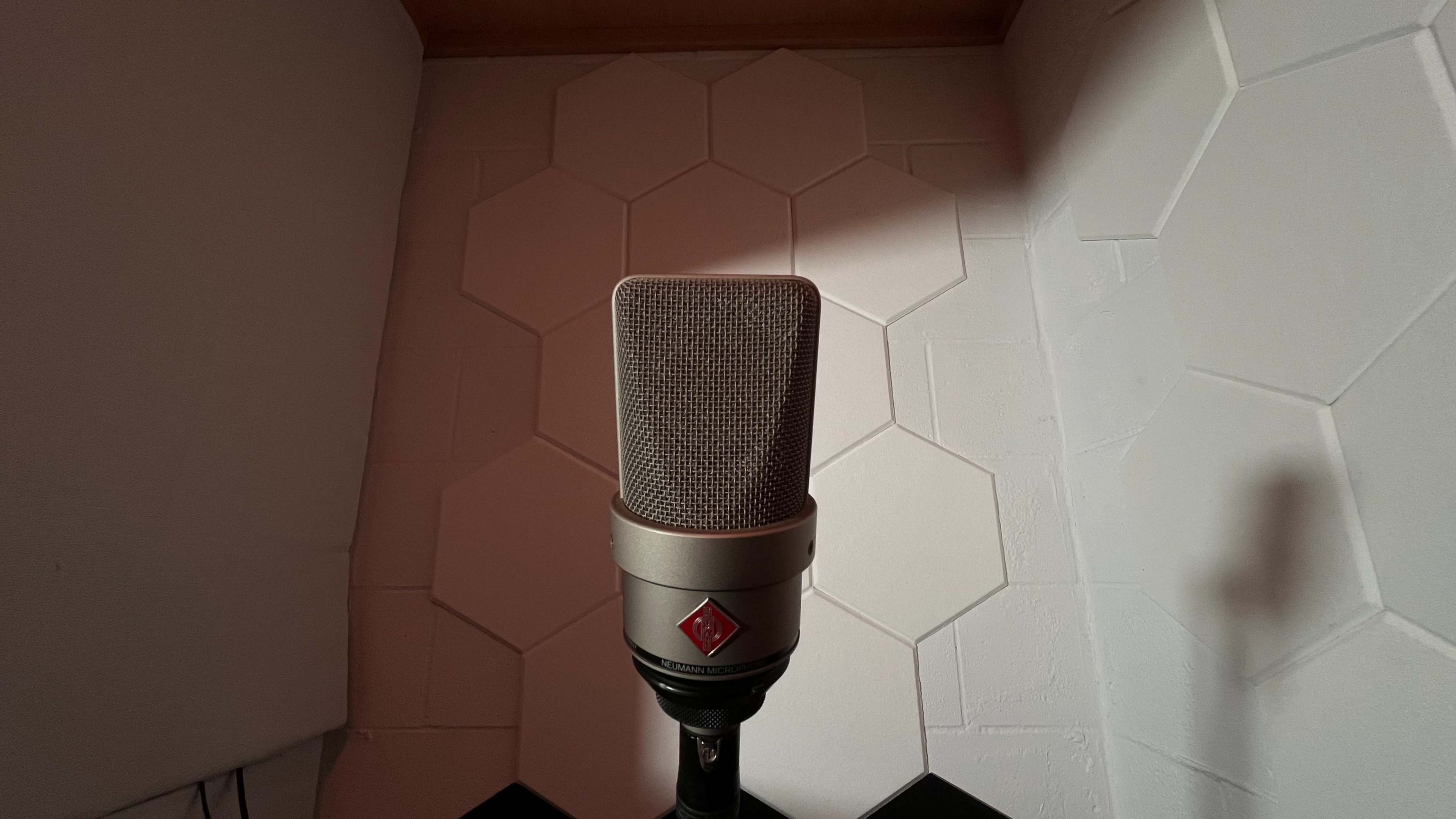 The image shows a microphone positioned in front of a hexagon-patterned wall.