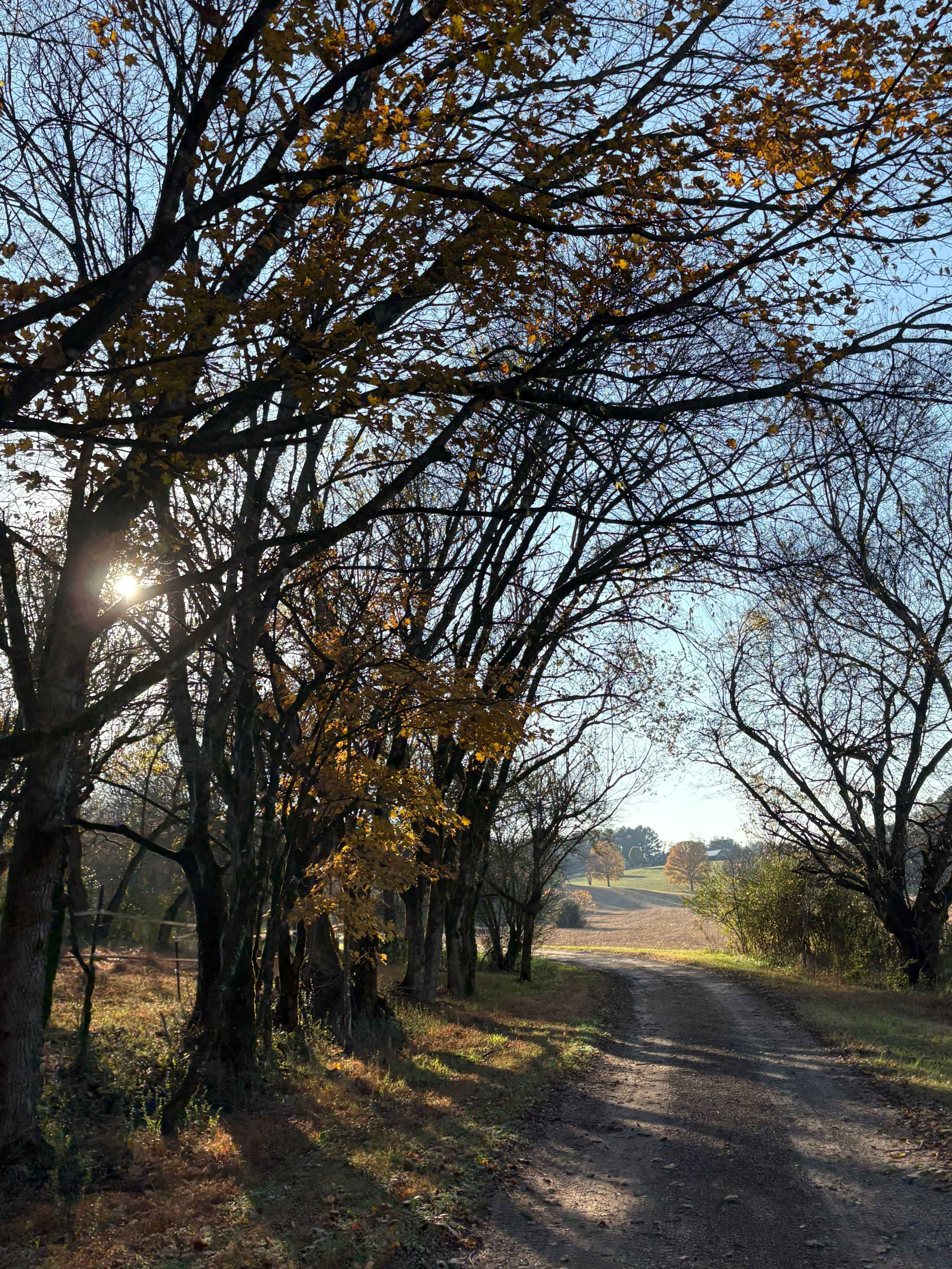 100 Acre Family Farm Along the Little River Image in , Maryville, TN