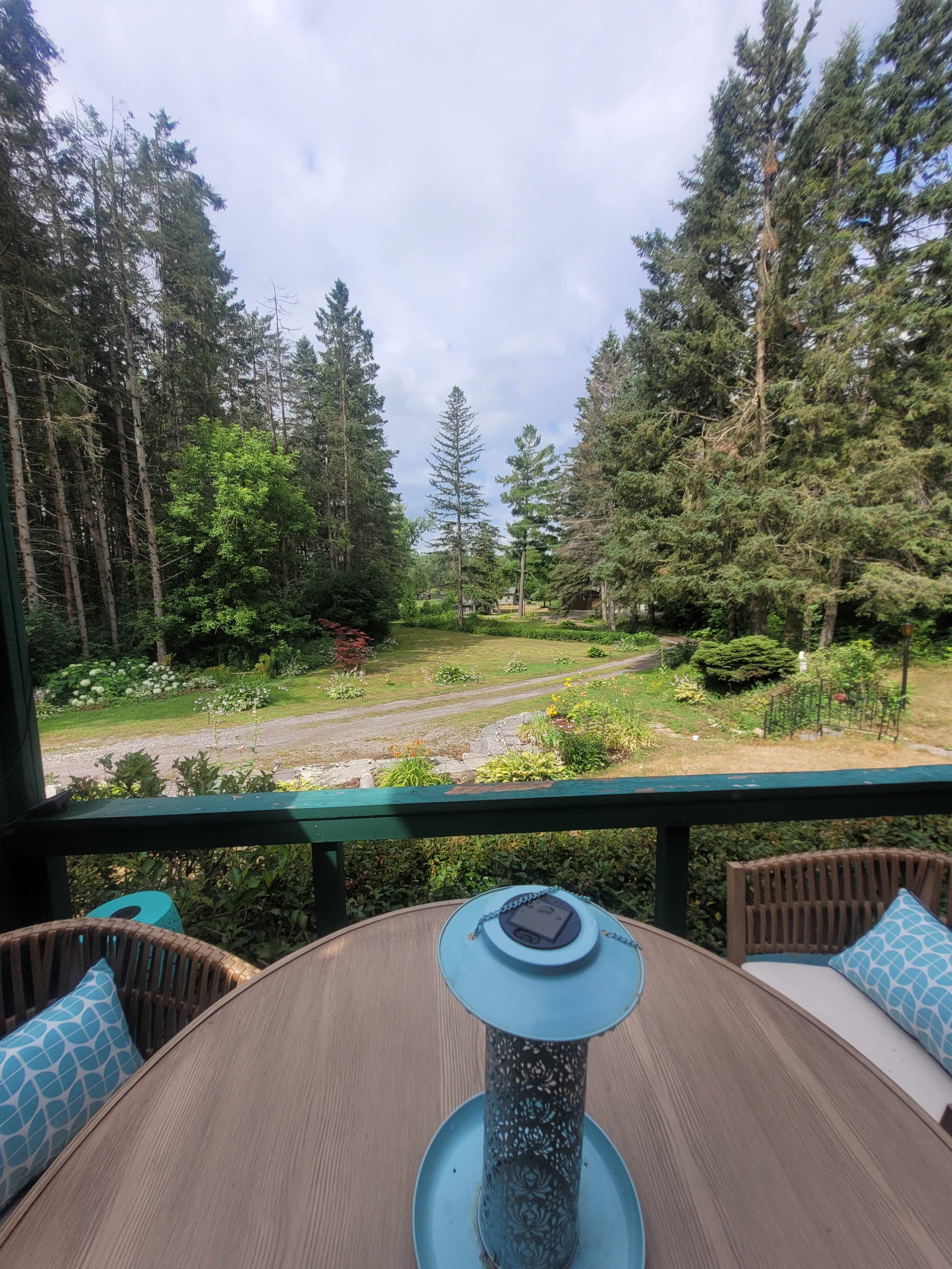 A table with a blue centerpiece is set on a porch, overlooking a garden surrounded by trees and a gravel path.