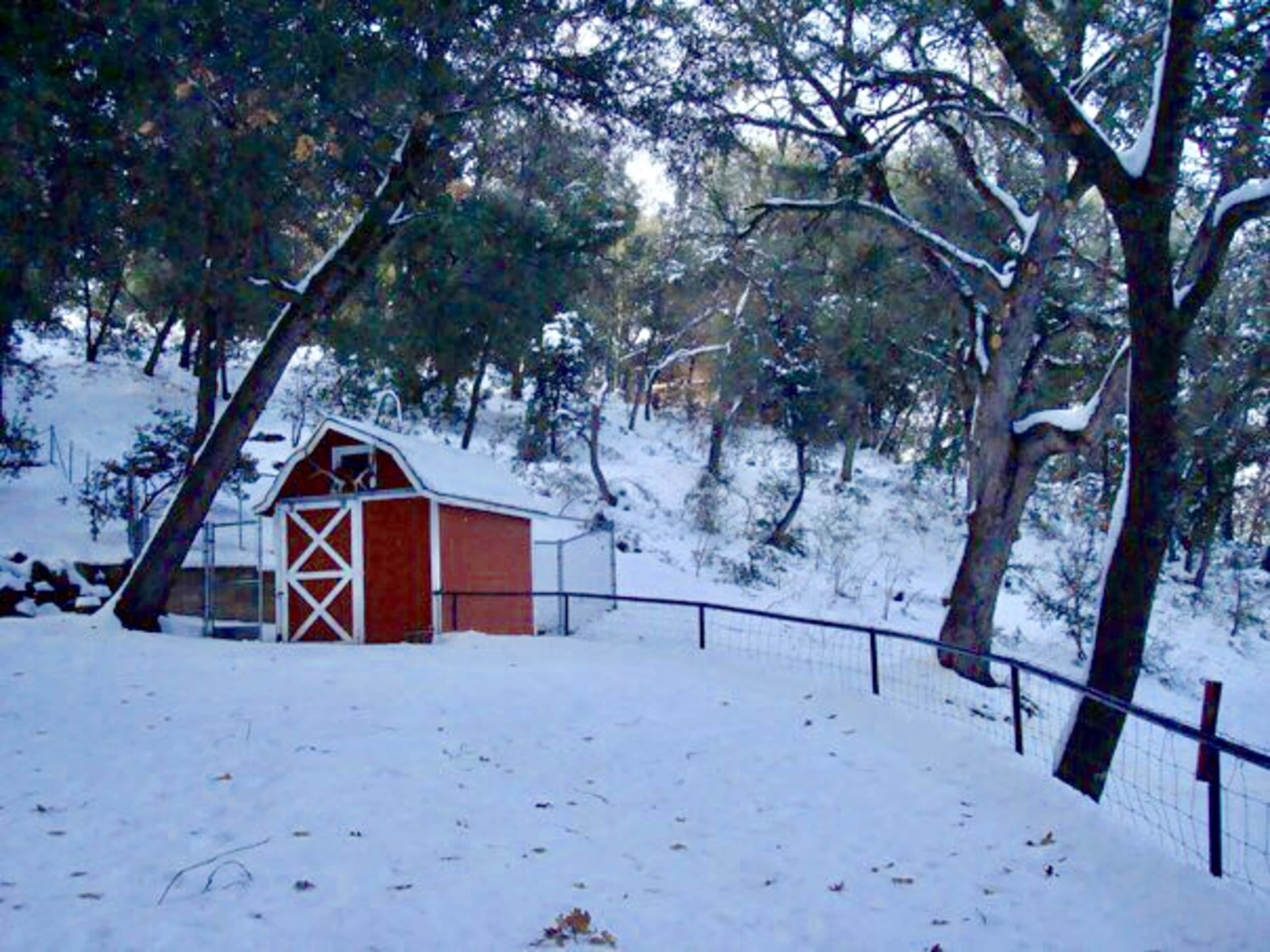 A red wooden shed sits in a snowy landscape surrounded by trees.