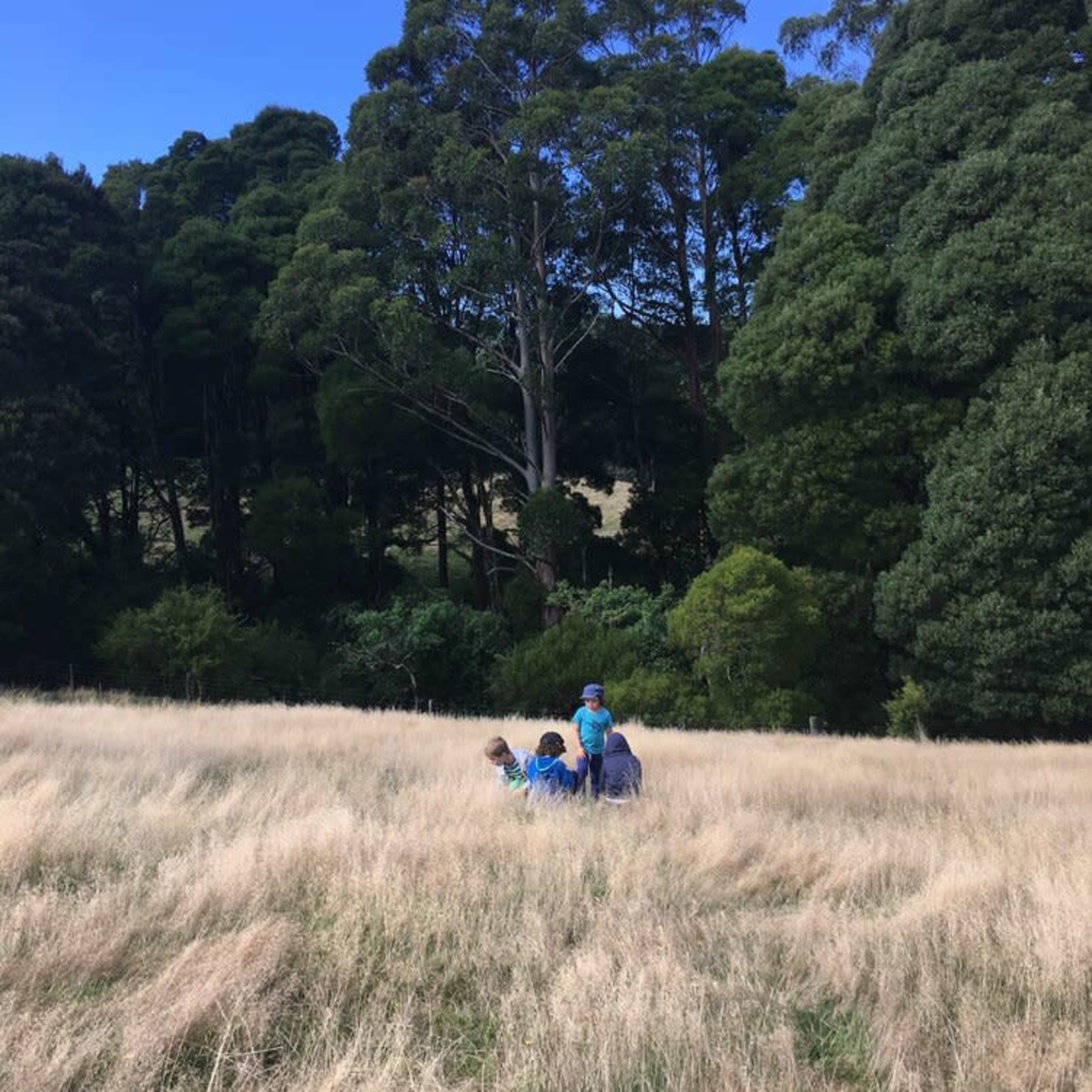 A group of three people sit on a grassy field surrounded by tall trees.