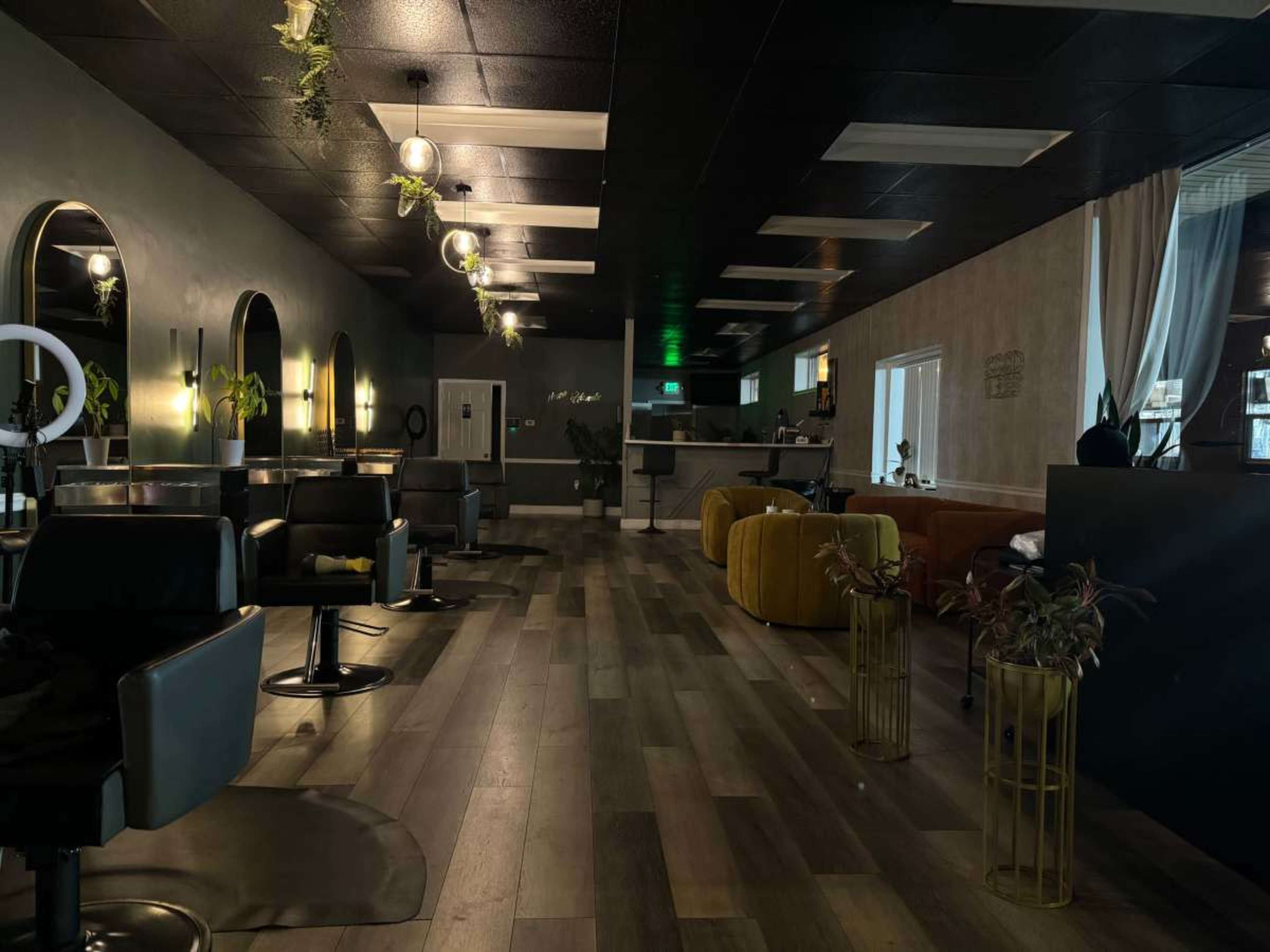 The image shows a modern salon interior featuring sleek styling chairs, a reception area, and decorative plants, illuminated by pendant lights.