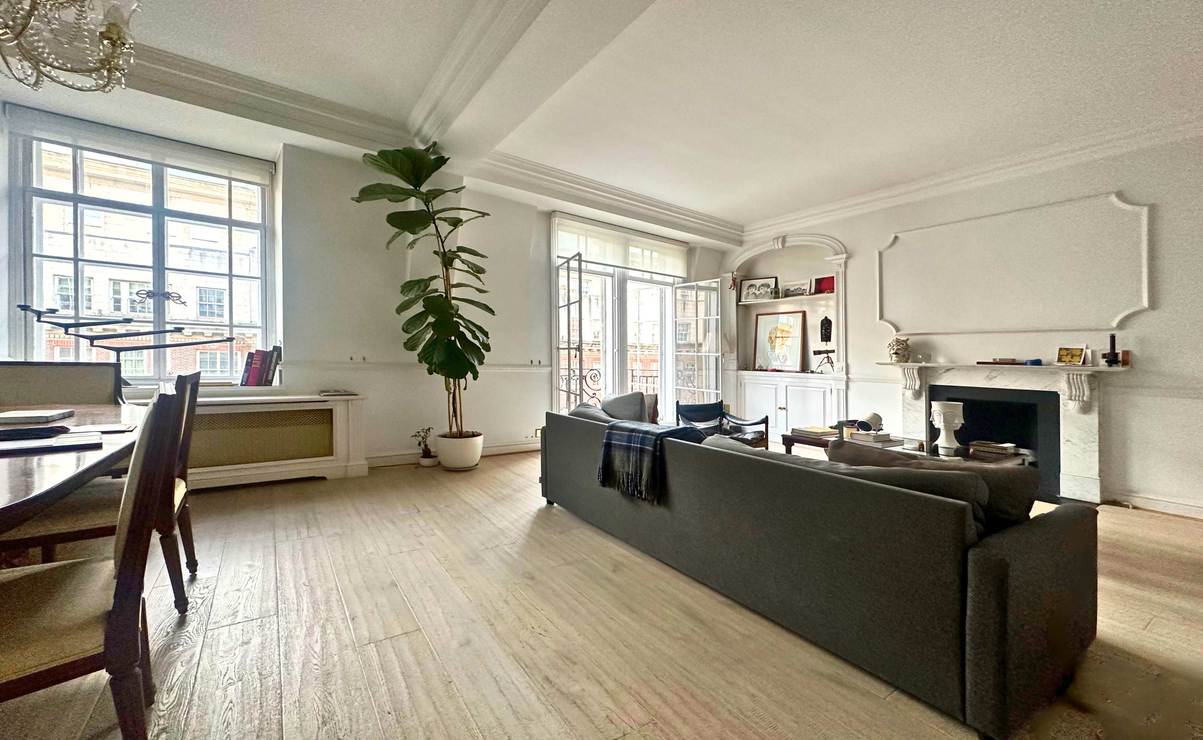 A light-filled living room features a gray sofa, a dining table, and a large indoor plant beside a window with French doors.