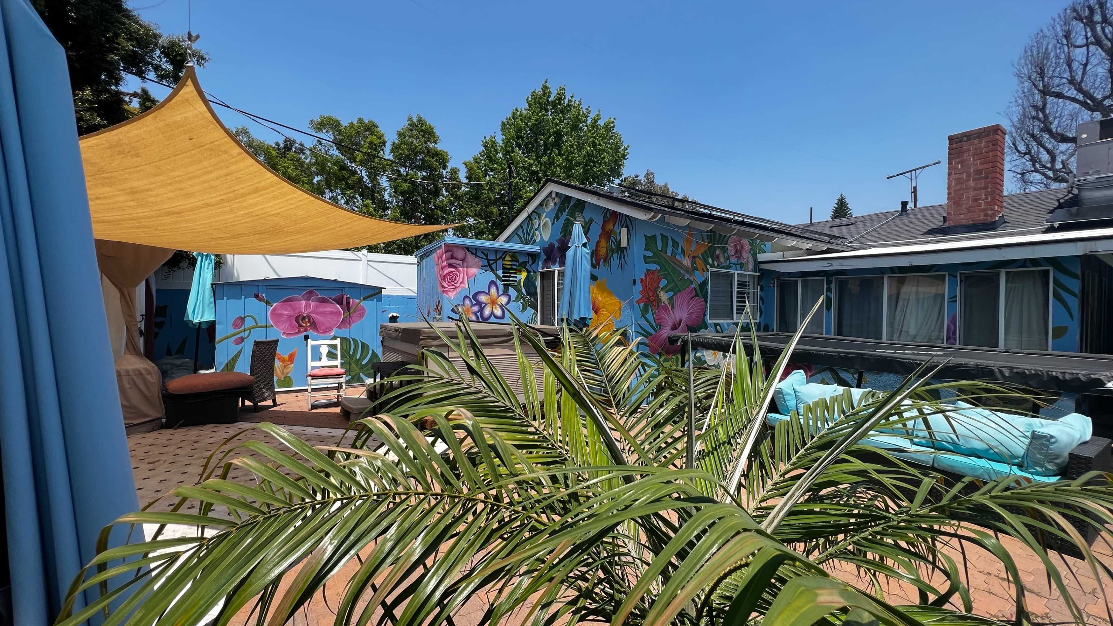 A backyard area with vibrant murals on the walls, a palm plant in the foreground, and a shaded seating space.
