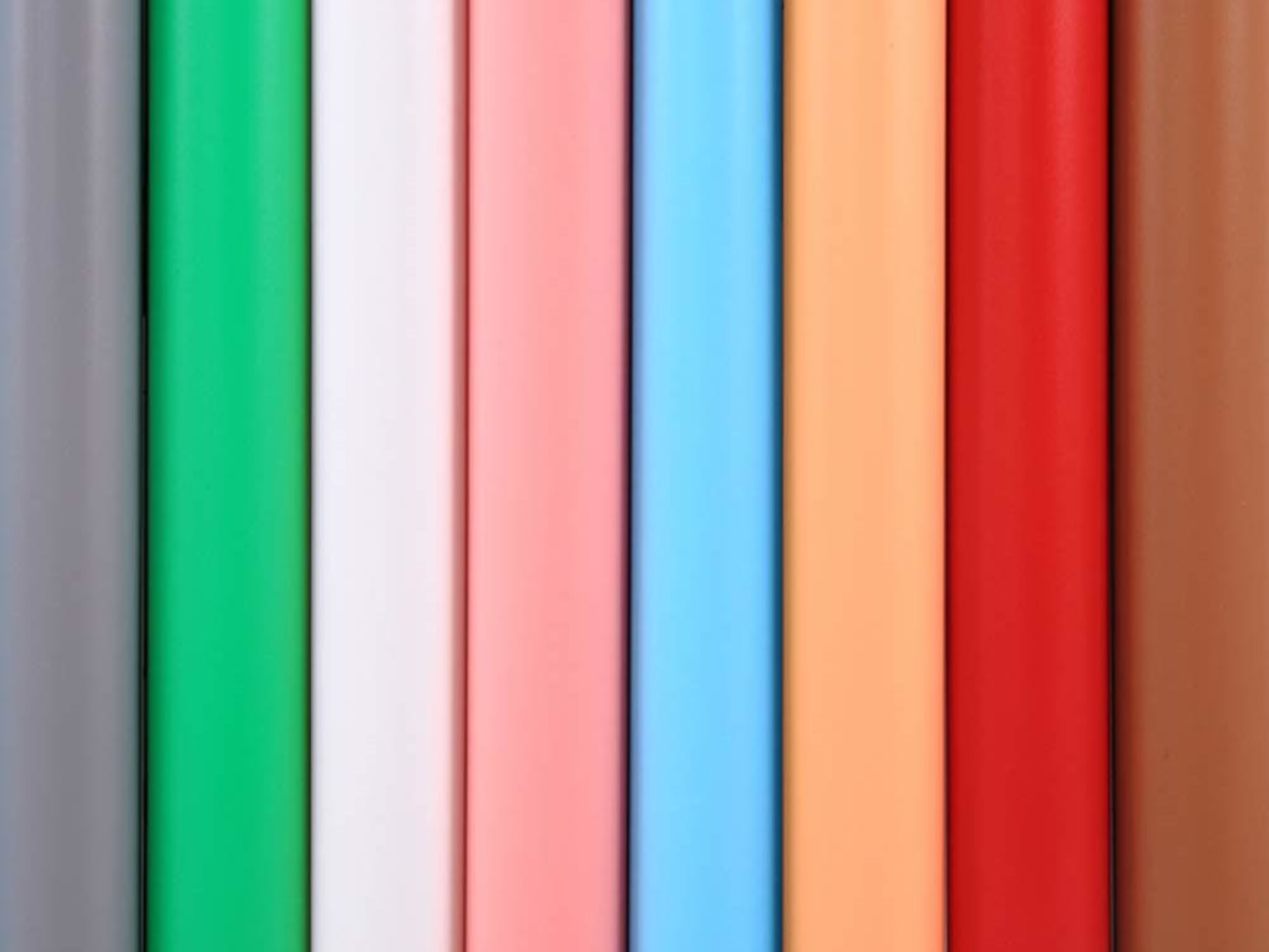 Backdrop Paper Fee (Standing on/Sitting on)