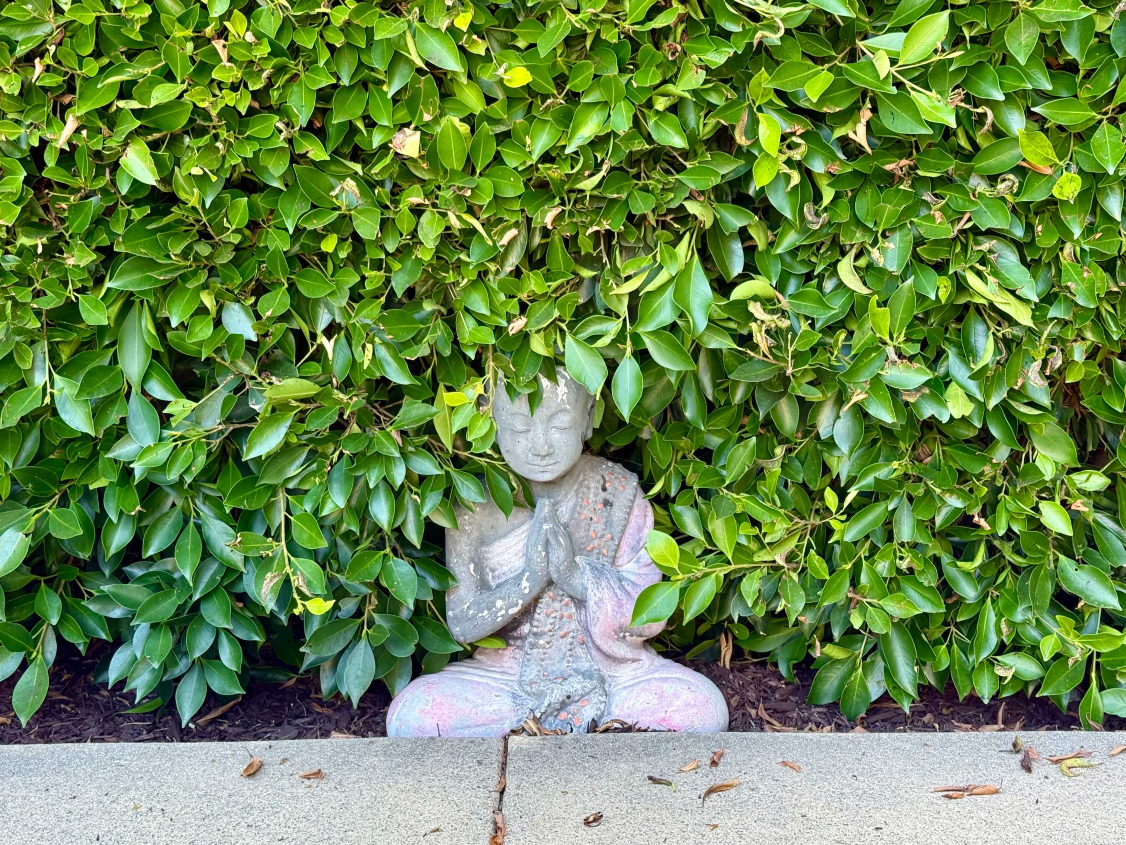 Beach Town Modern Home with Designer Backyard Image in Carlsbad, Carlsbad, CA