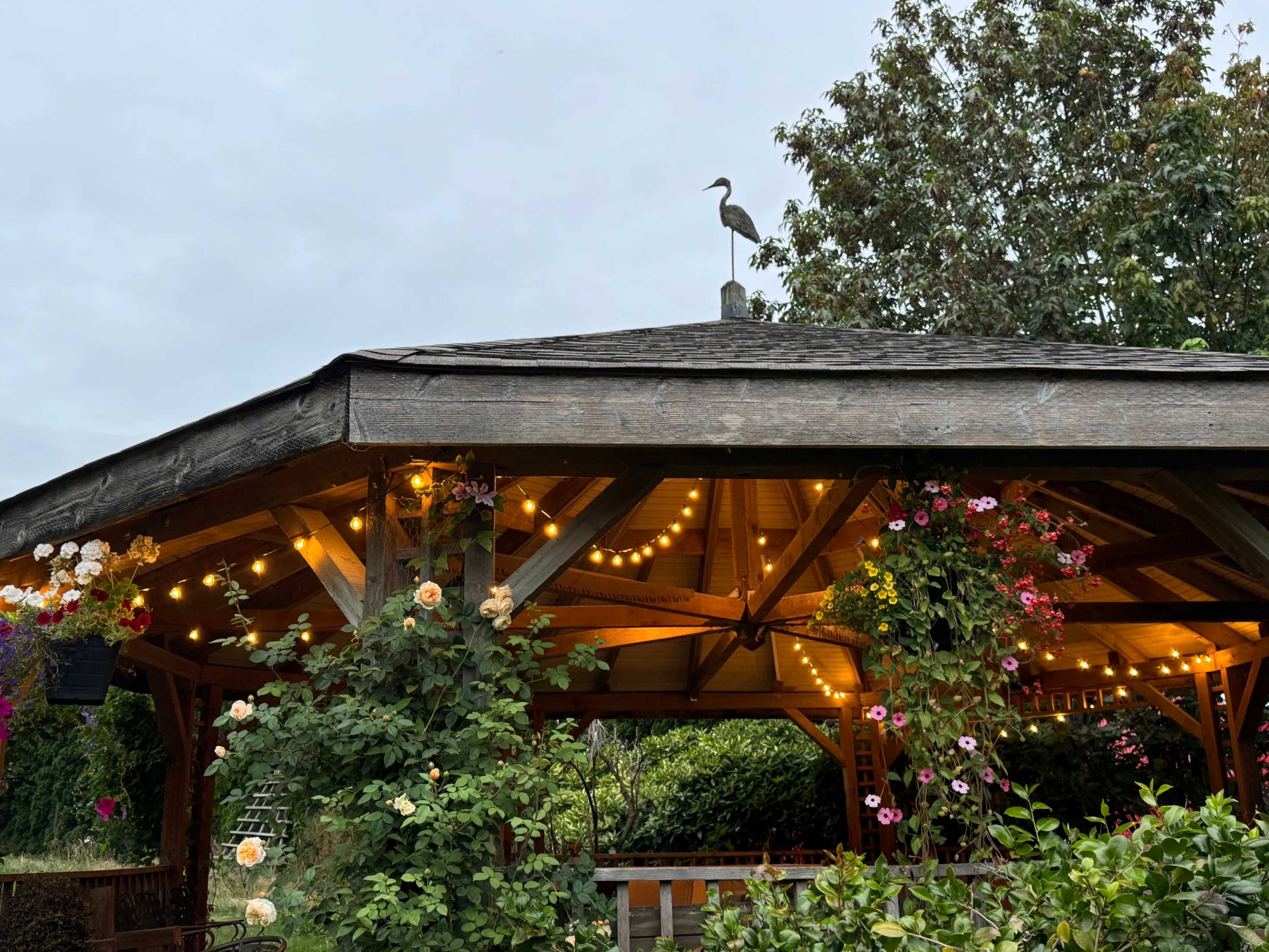 Serene Private Garden & Pond Oasis with Rustic Charm Image in Langley, Aldergrove, BC