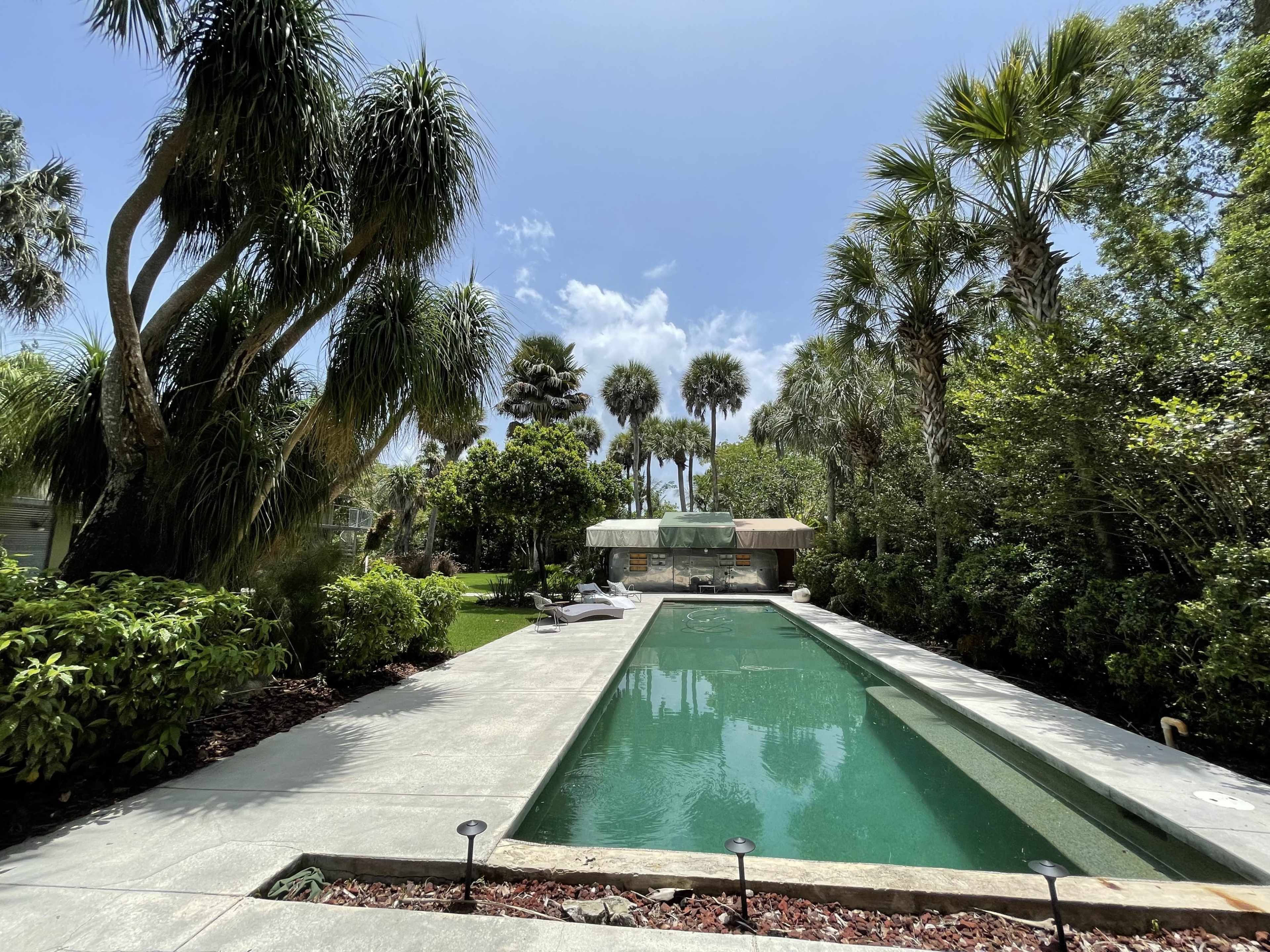 The image shows a rectangular swimming pool surrounded by lush greenery and palm trees under a clear sky.