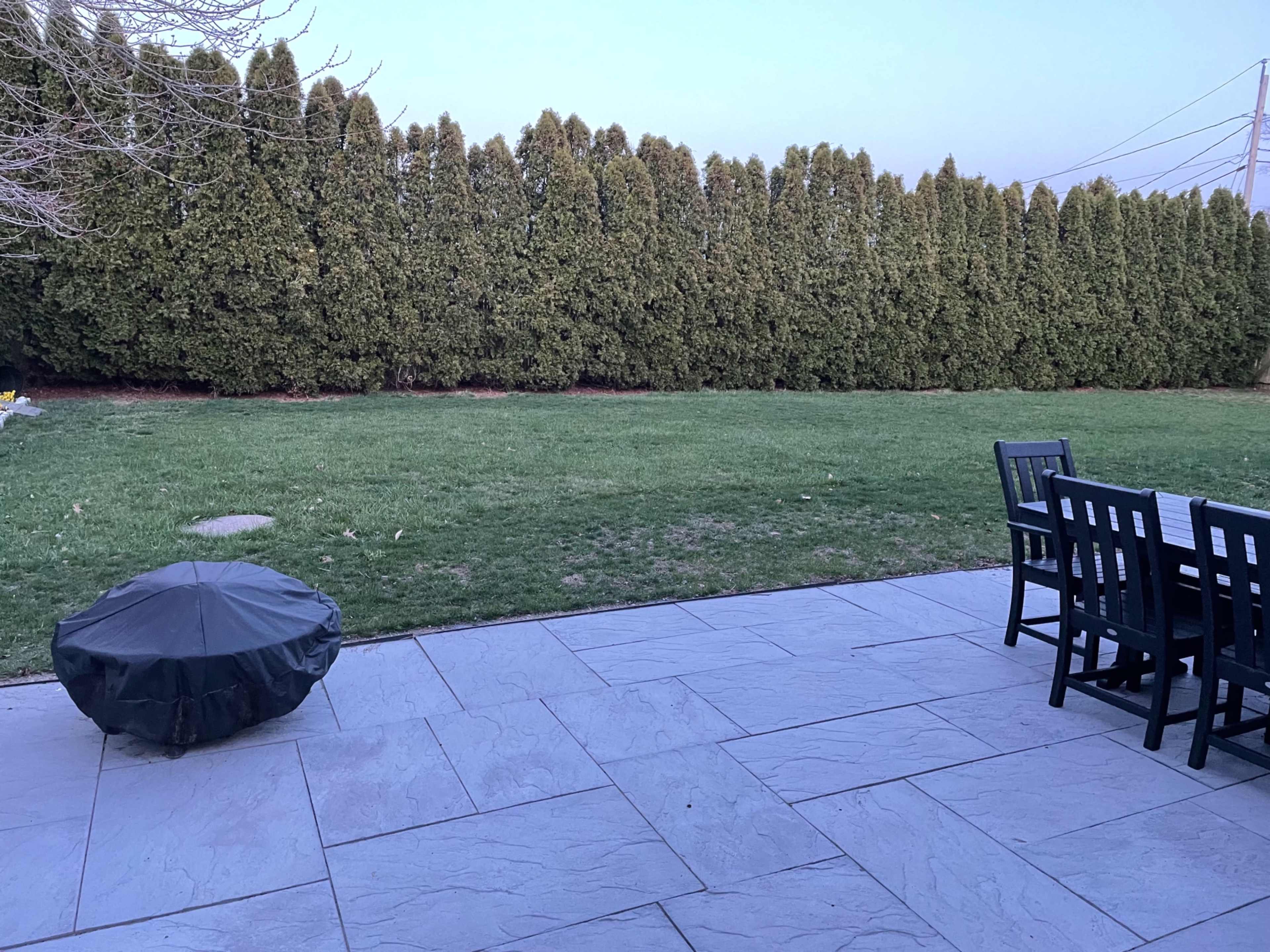 A patio with a dining set and a covered grill overlooks a green lawn and tall hedges in the background.