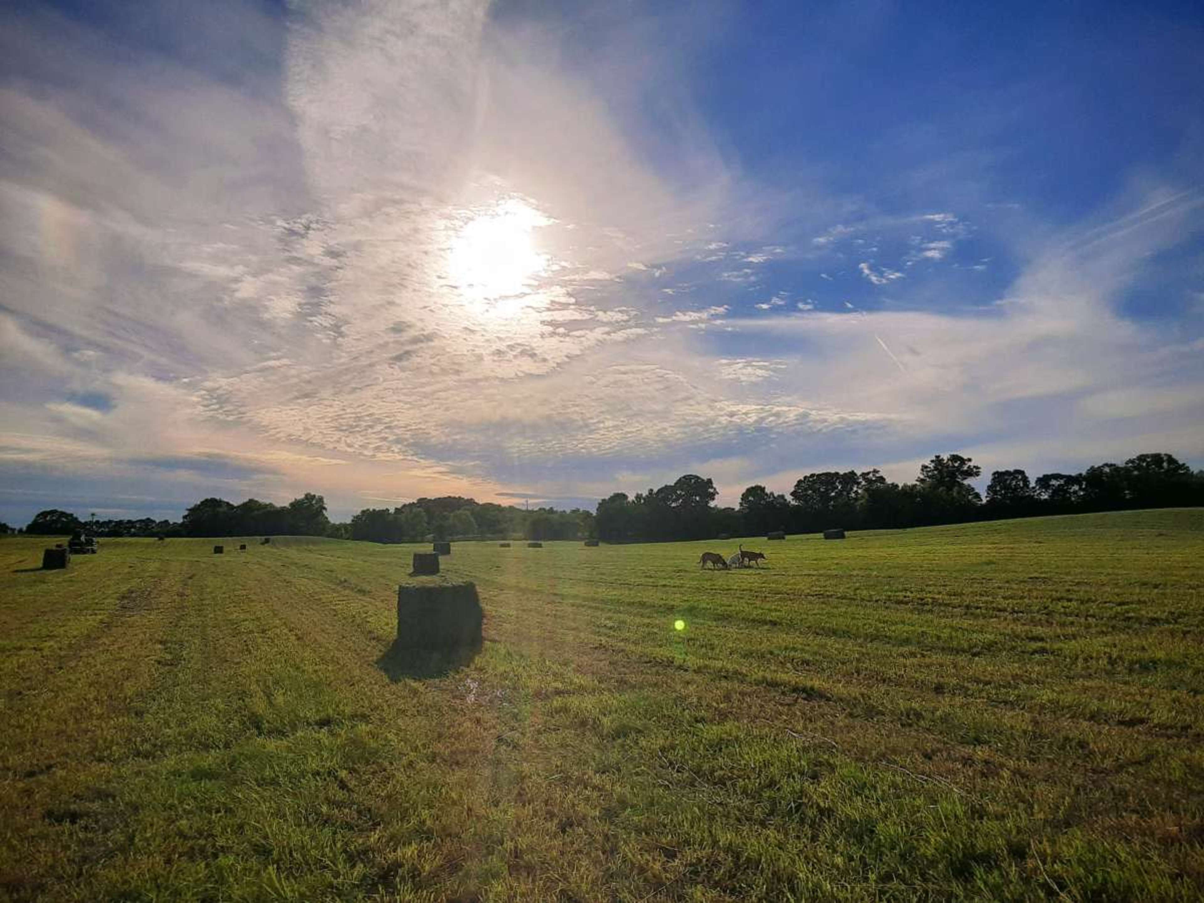 Rural Retreat with Idyllic Views Image in Genesee, North Prairie, WI