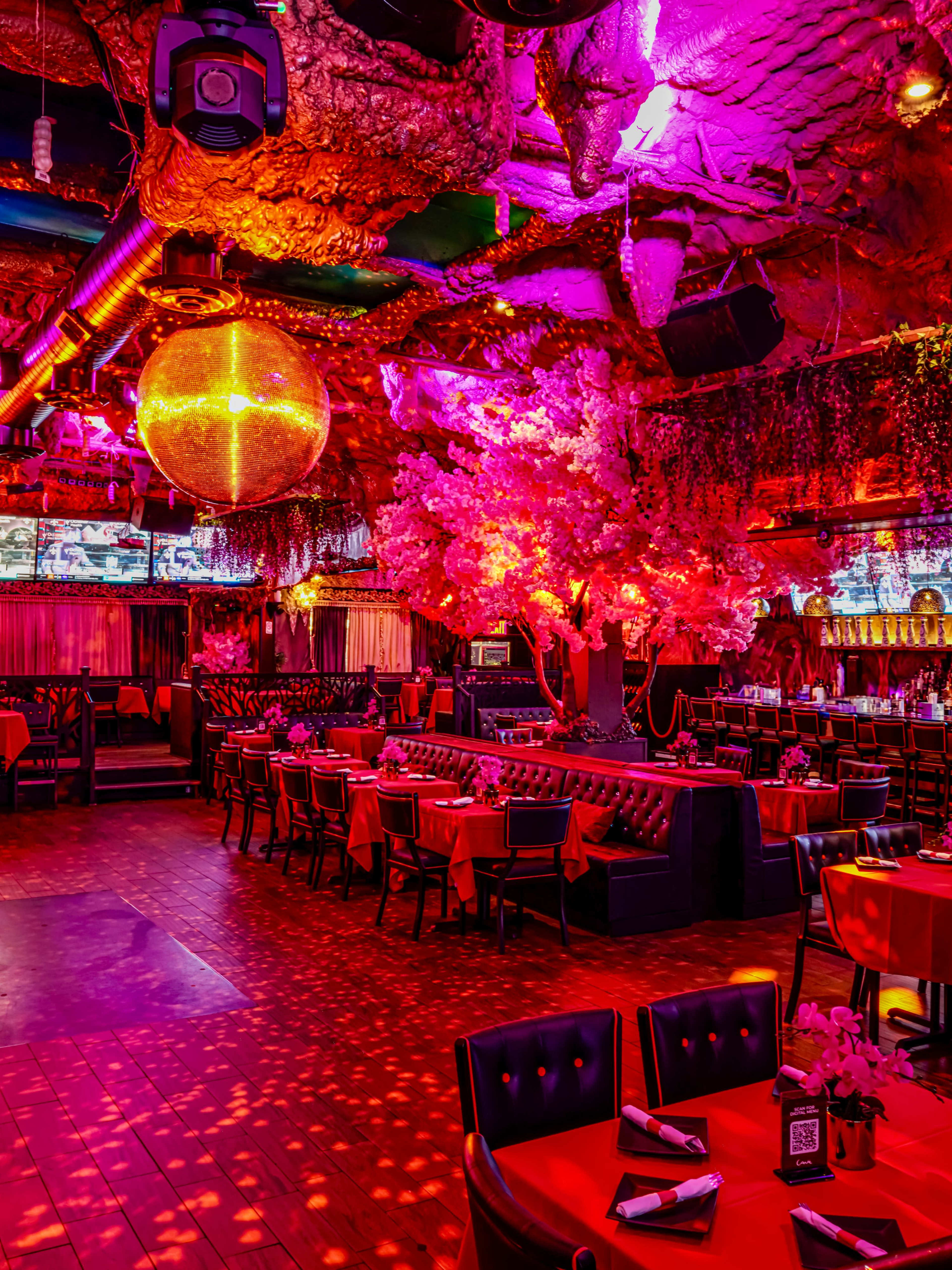 A vibrant restaurant interior features dark seating, illuminated by multicolored lights and adorned with decorative trees and a disco ball.