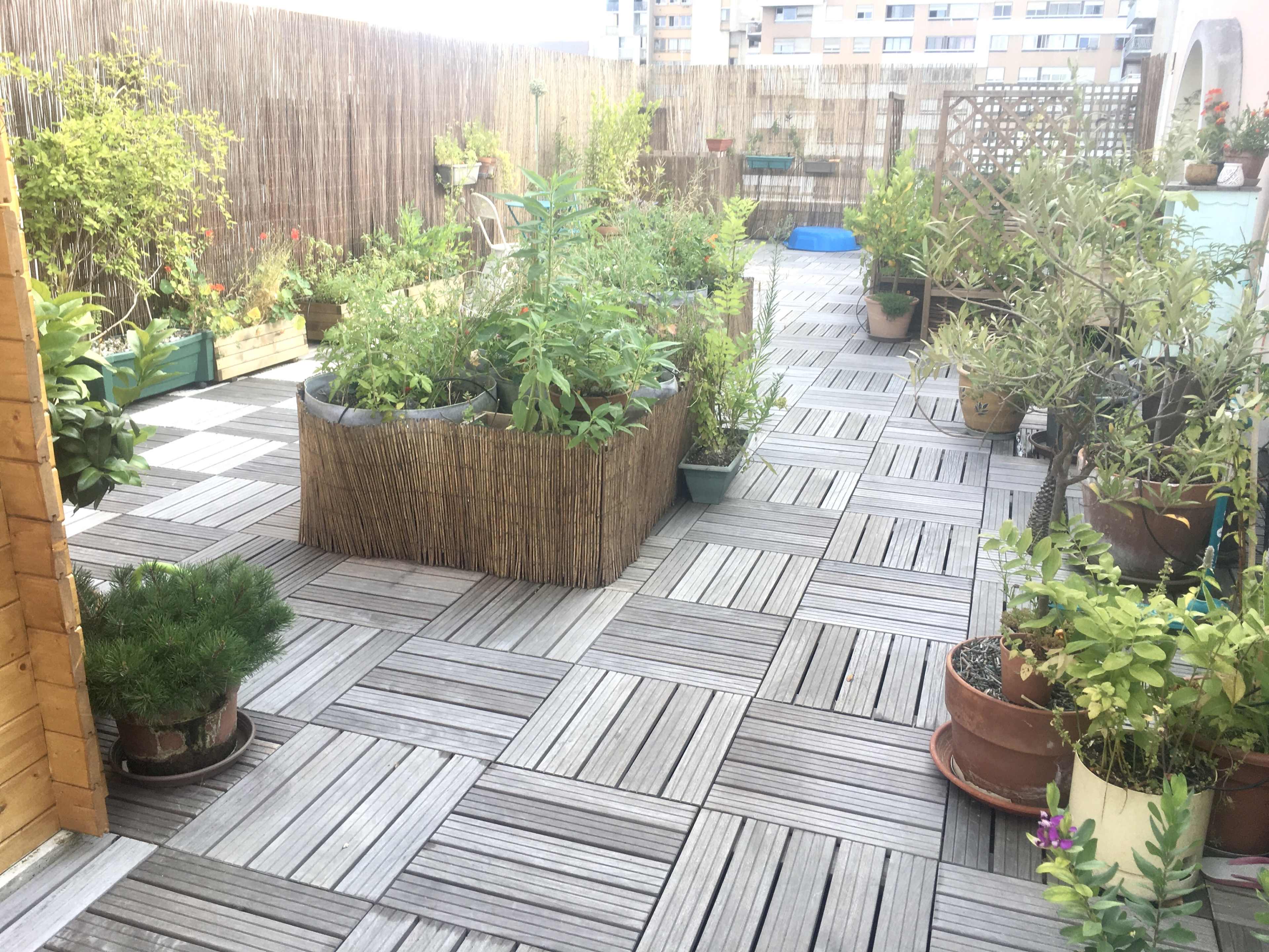 A rooftop garden space with wooden flooring, various potted plants, and a large planter filled with greenery.