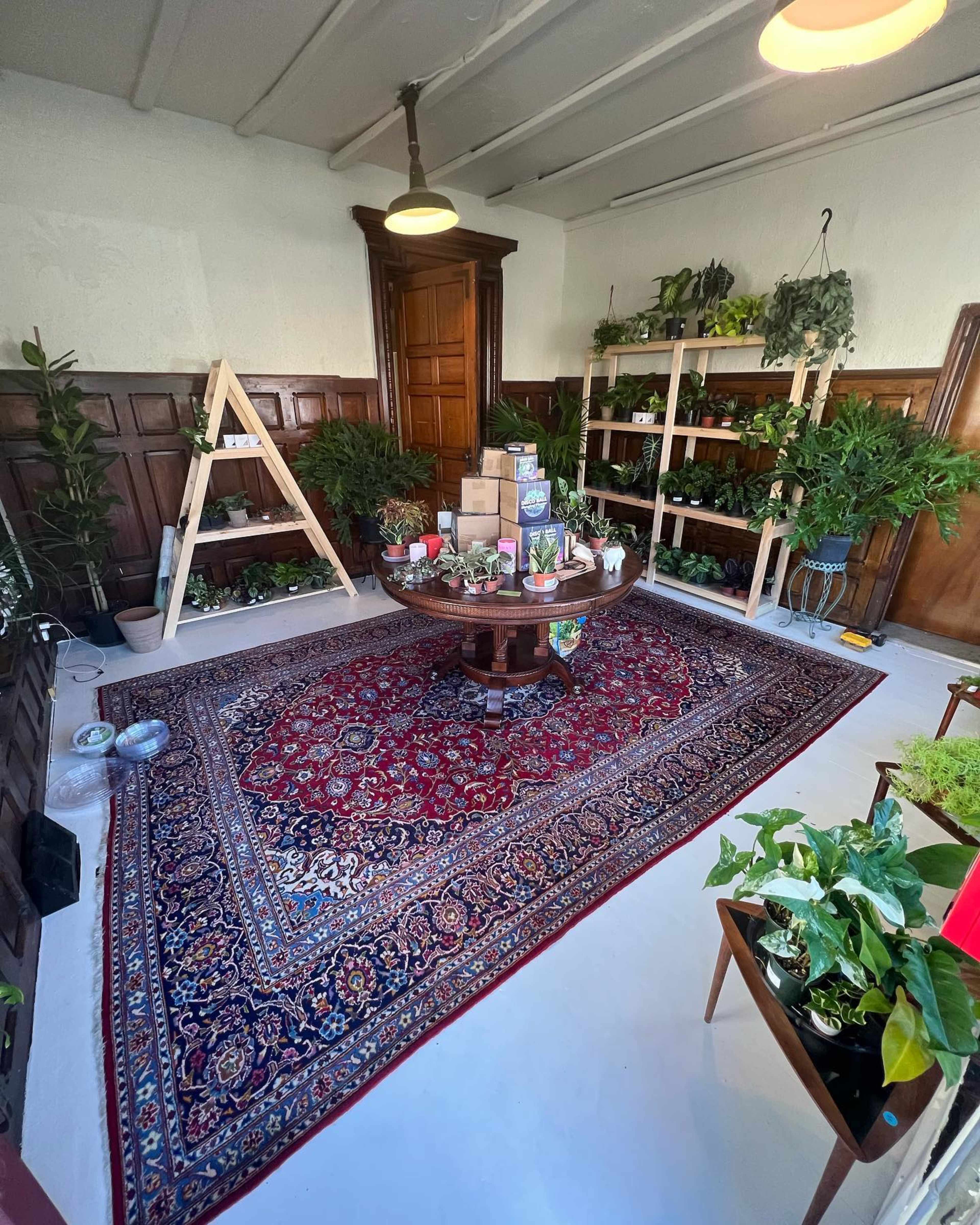 Tropical Plant Shop Image in East Passyunk Crossing, Philadelphia, PA