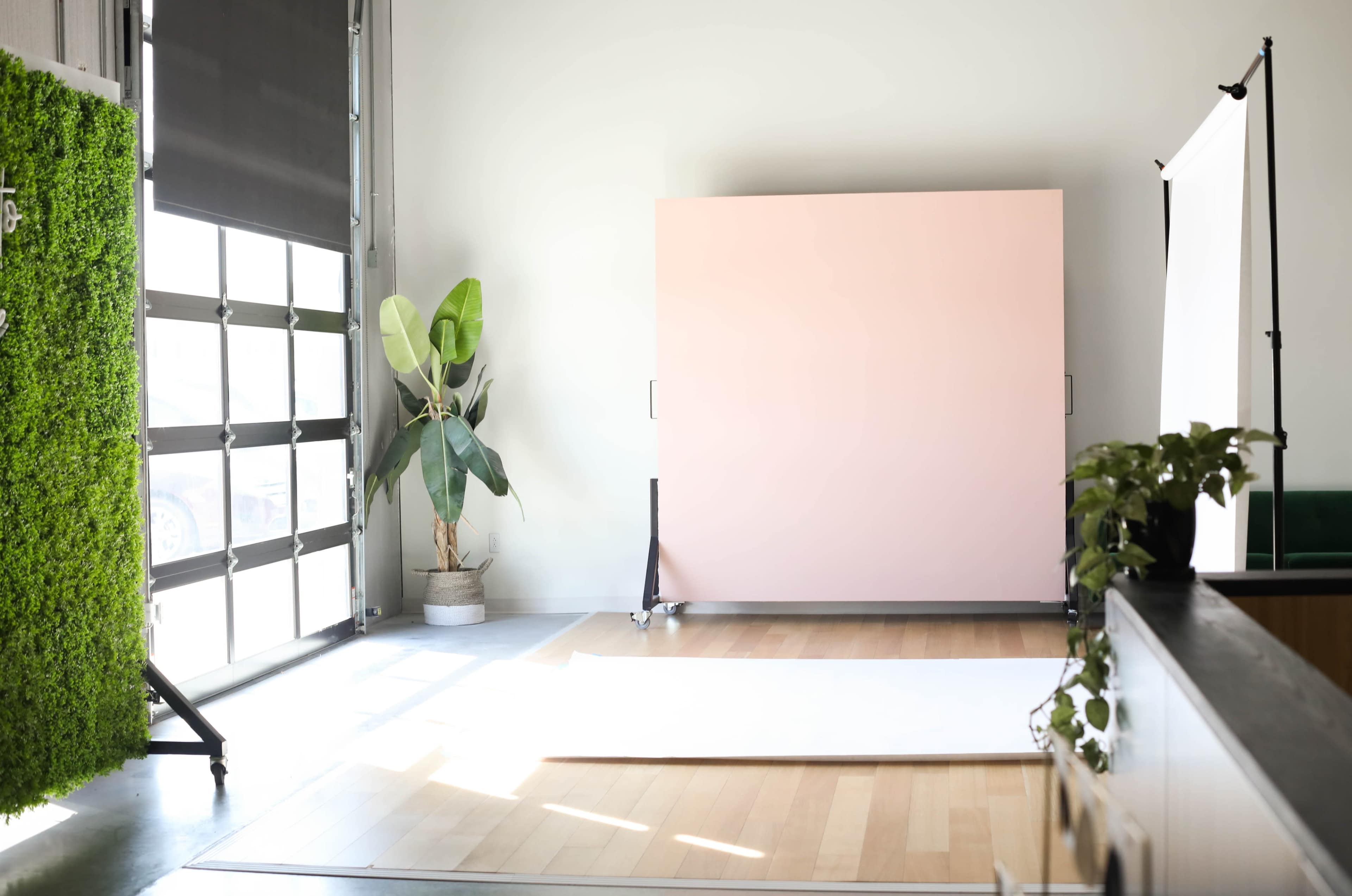 An interior space featuring a large pink backdrop, a potted plant, and a white floor mat, with natural light entering through a large garage door.
