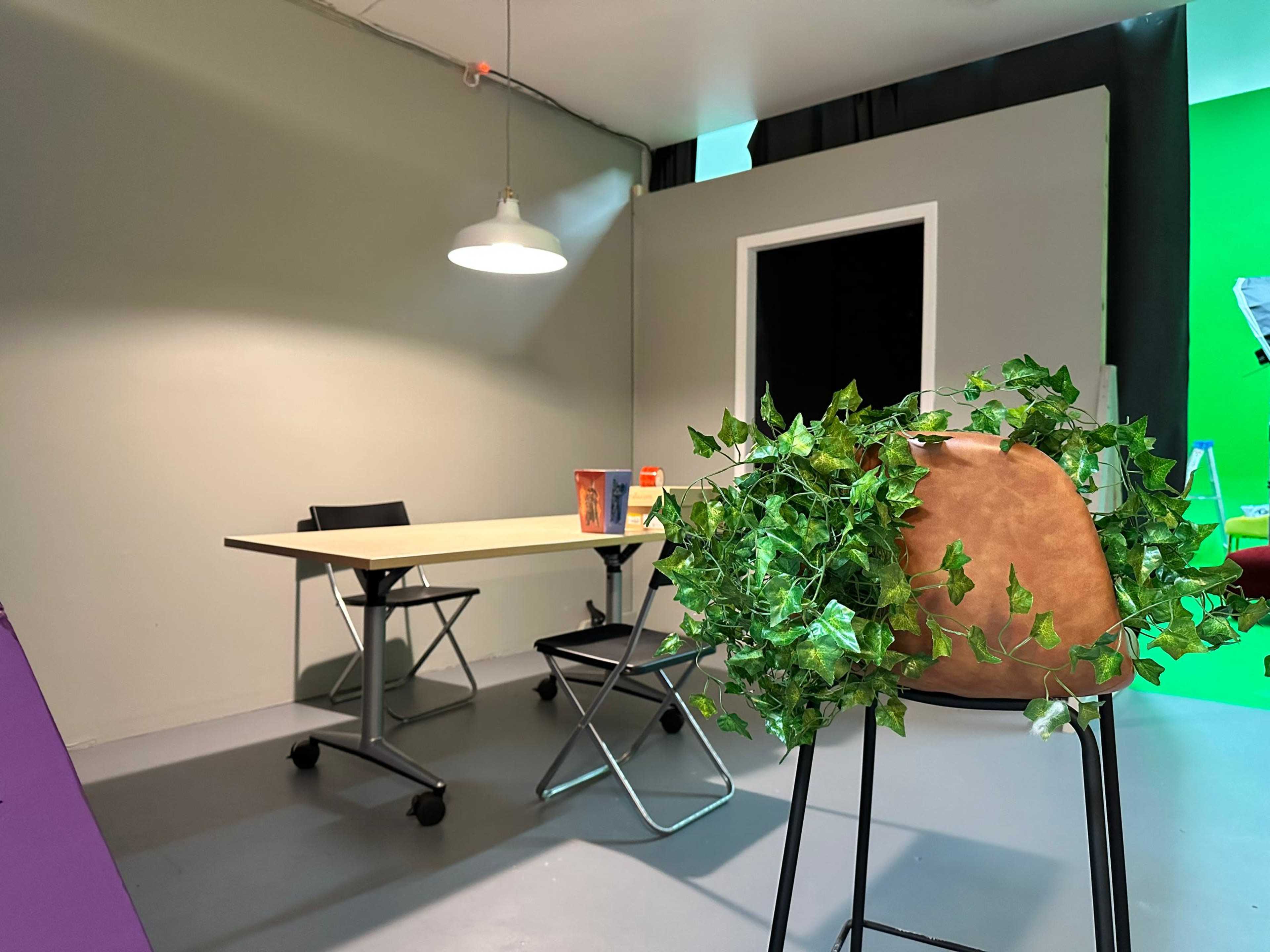 A small studio space featuring a table and chairs, with a green screen backdrop and a decorative plant on a stool.