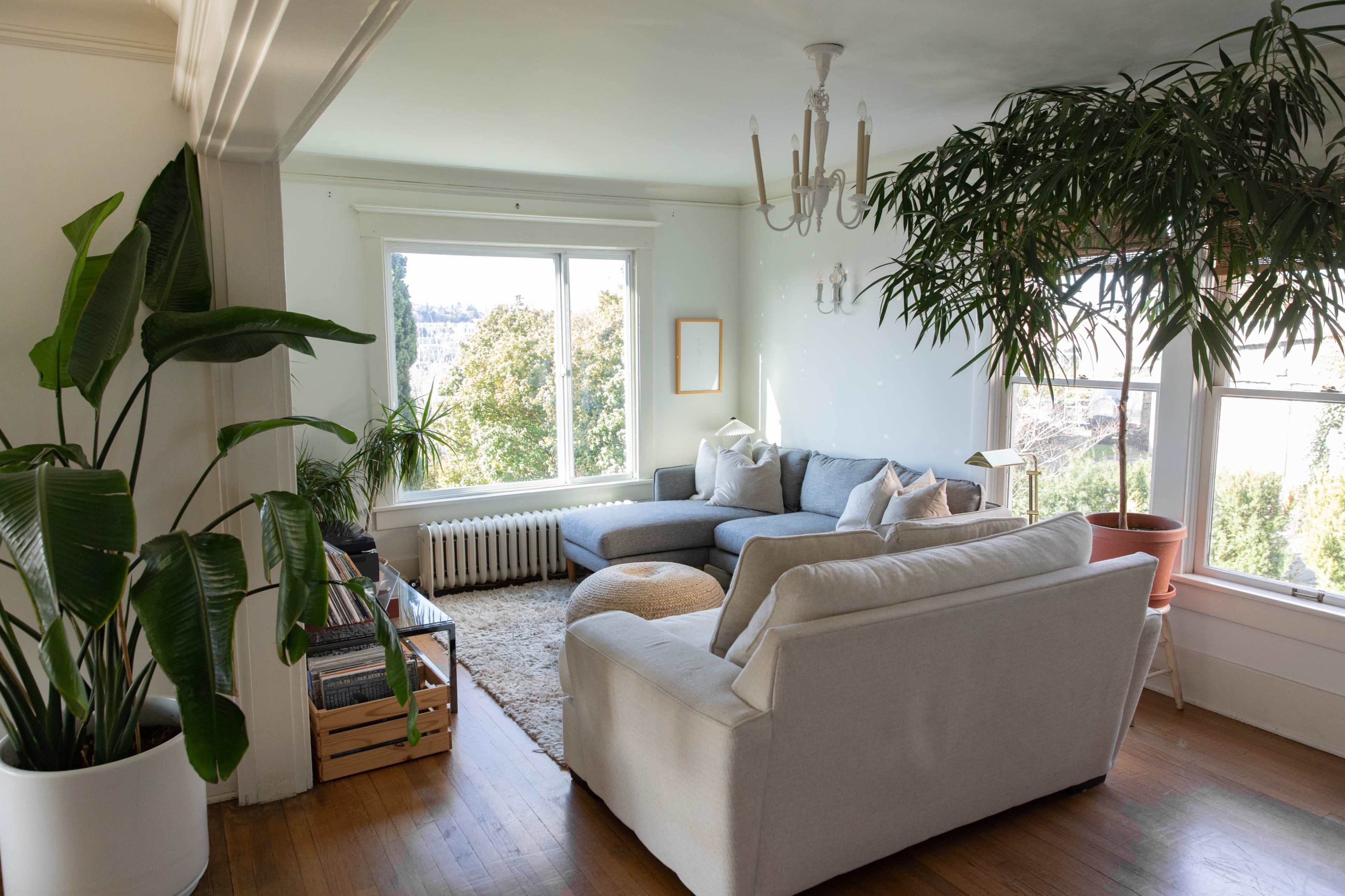 A living room with a comfortable seating arrangement, large windows, and a variety of houseplants.