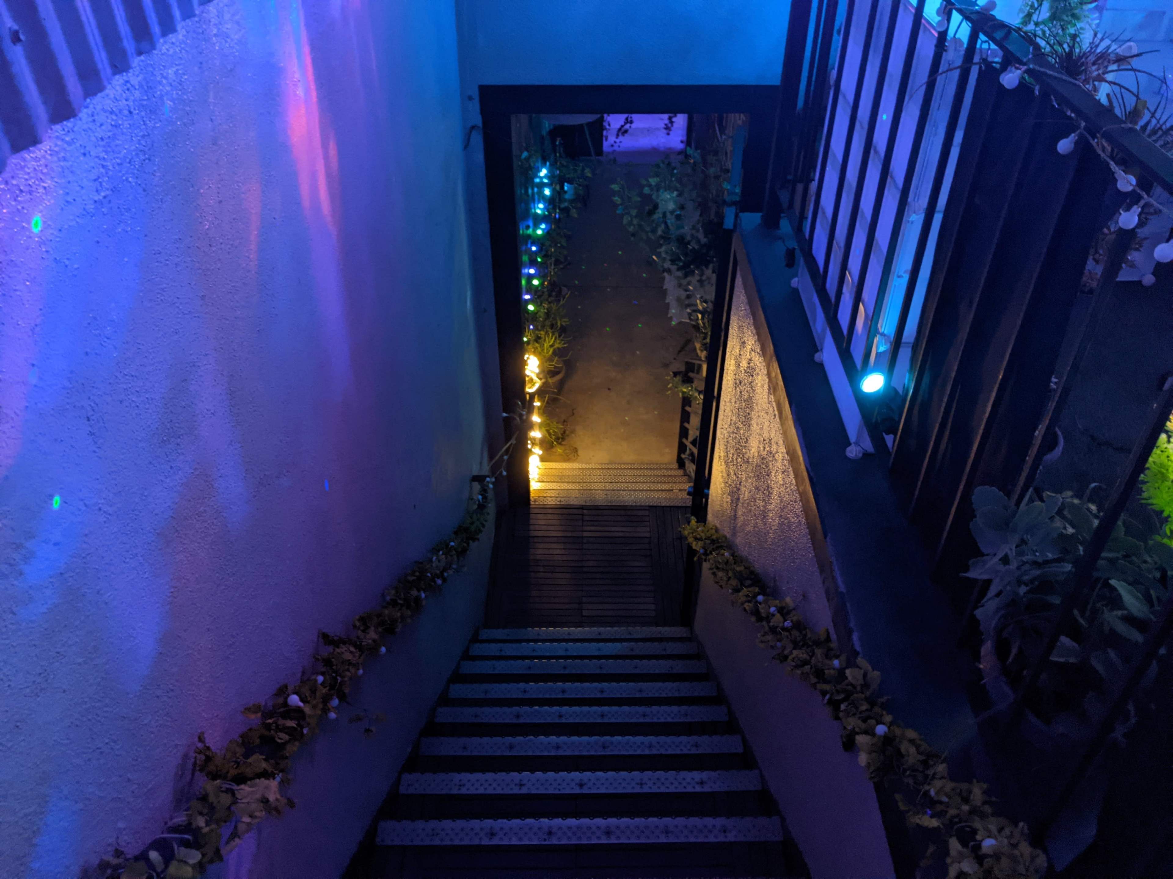 The image shows a staircase leading down, illuminated by multicolored lights and flanked by greenery.