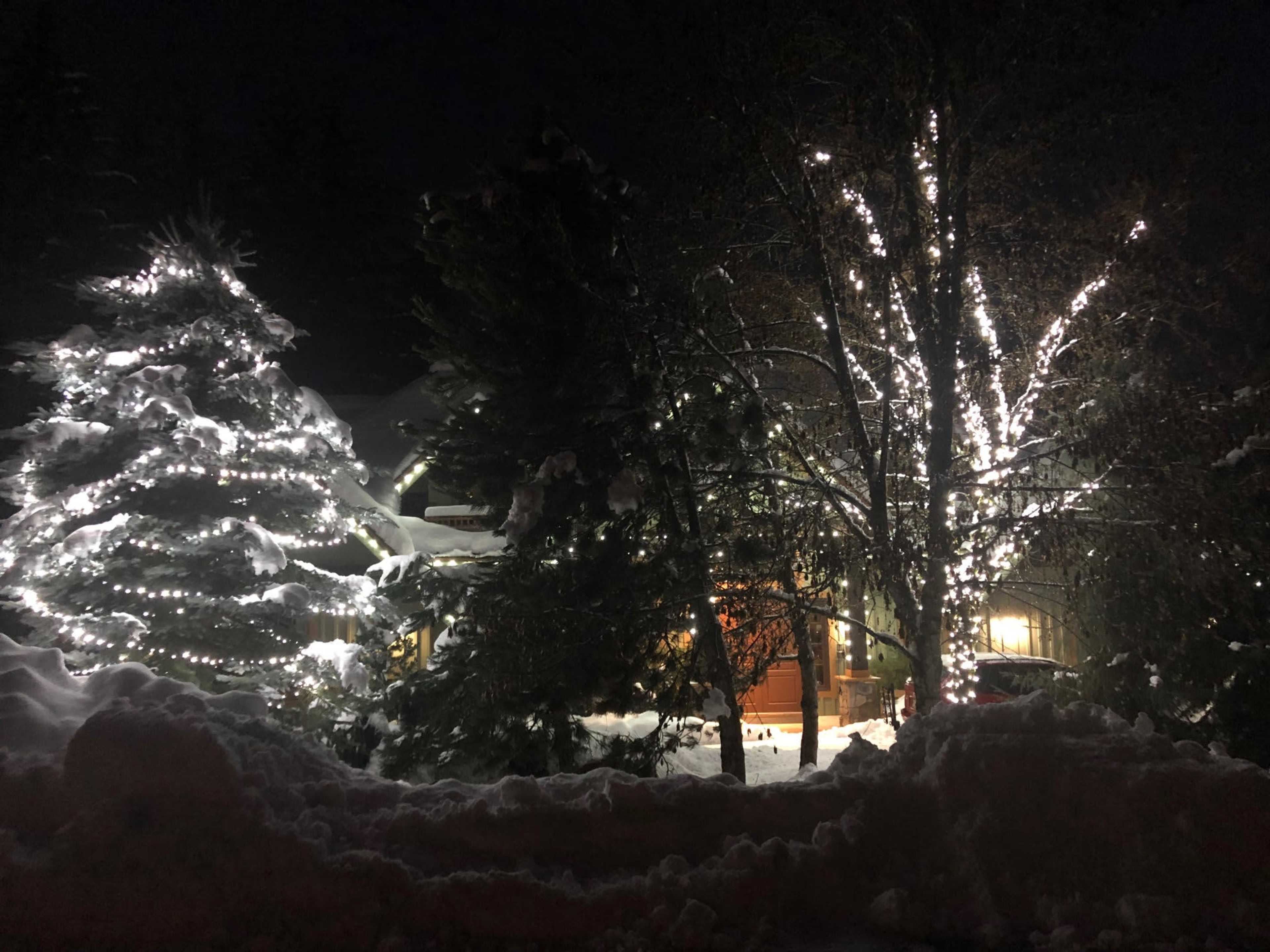 A house decorated with lights is surrounded by snow-covered trees on a dark winter night.