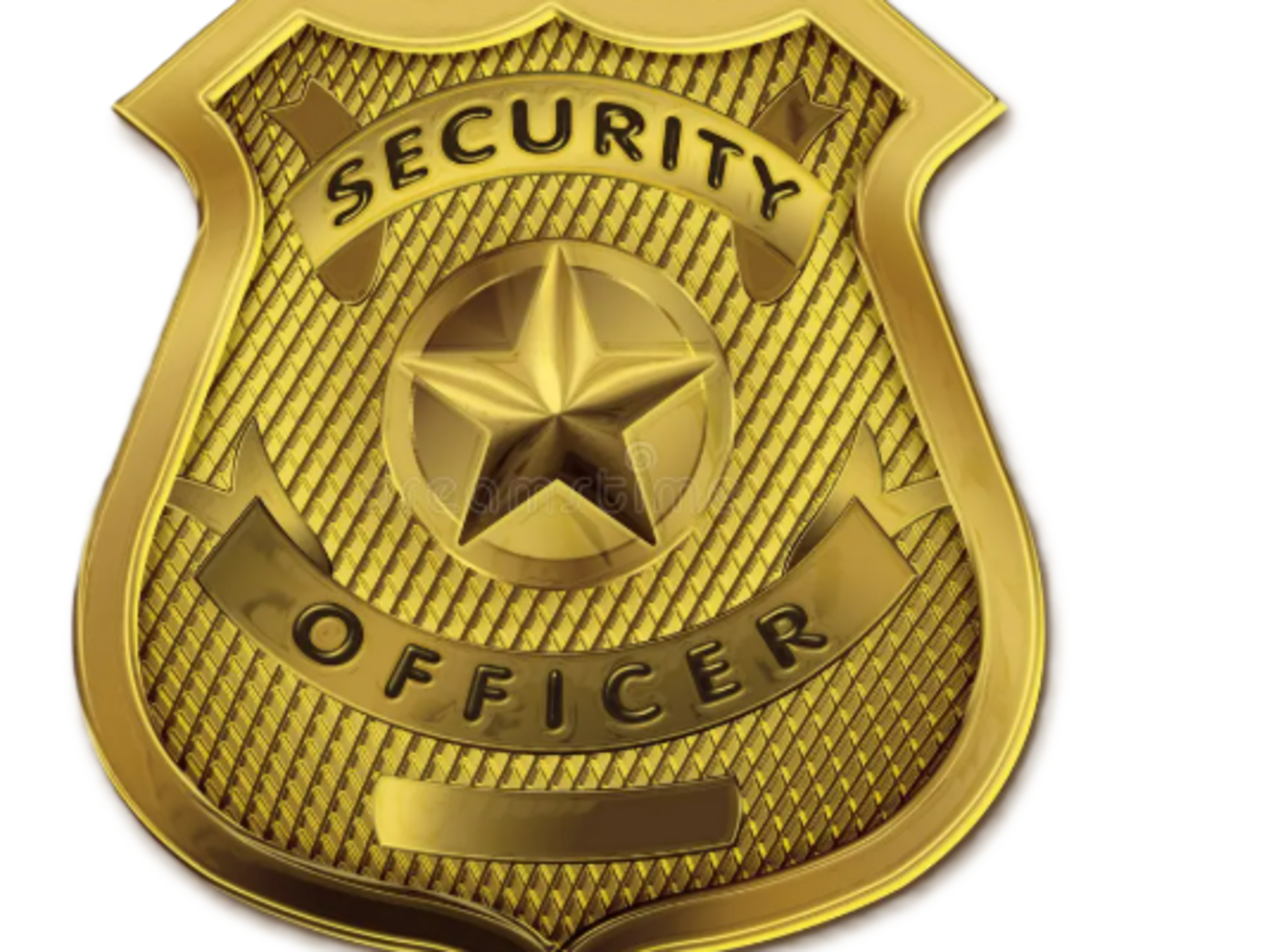Security Officer