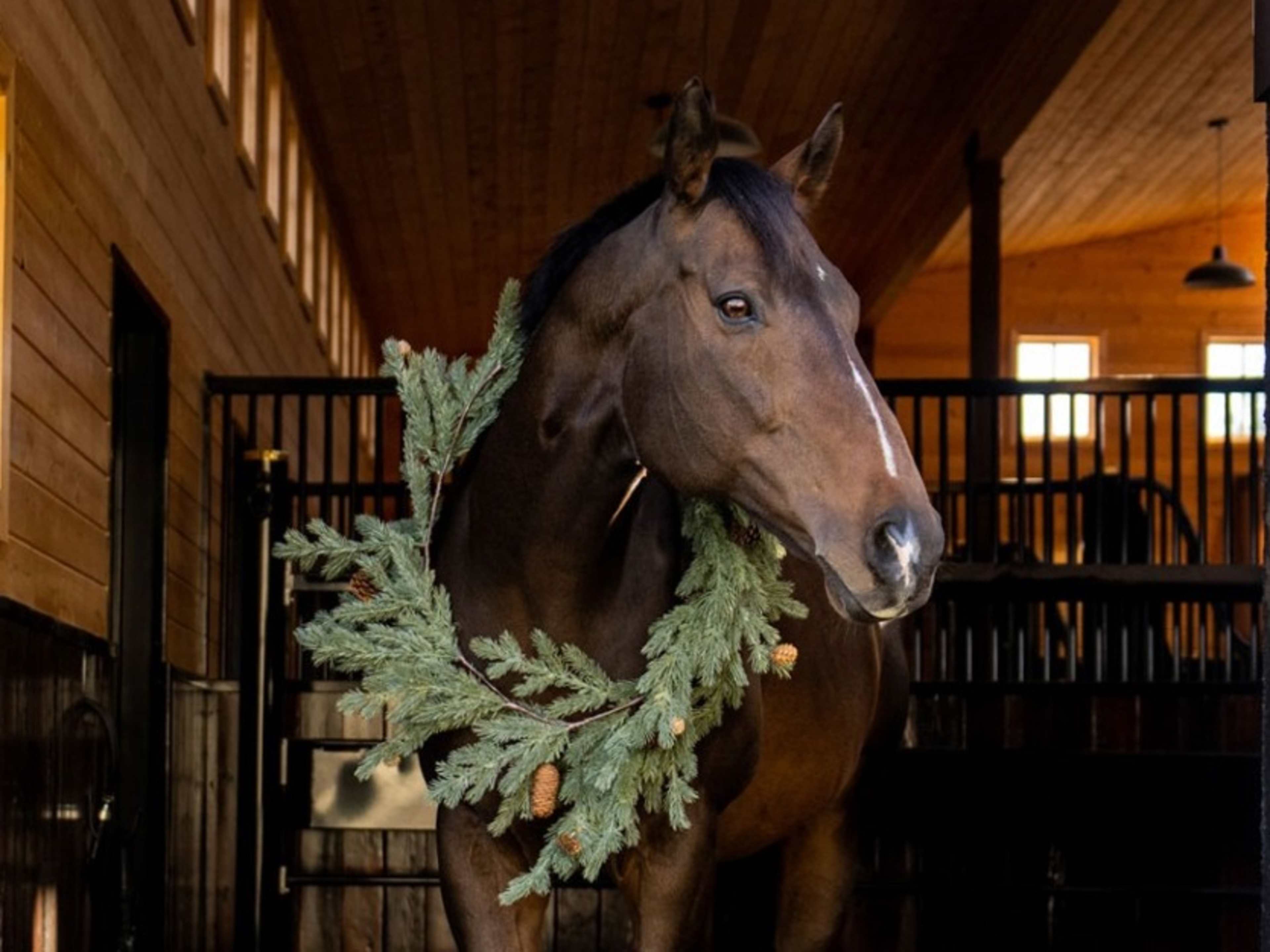 Horse & Pasture Access 