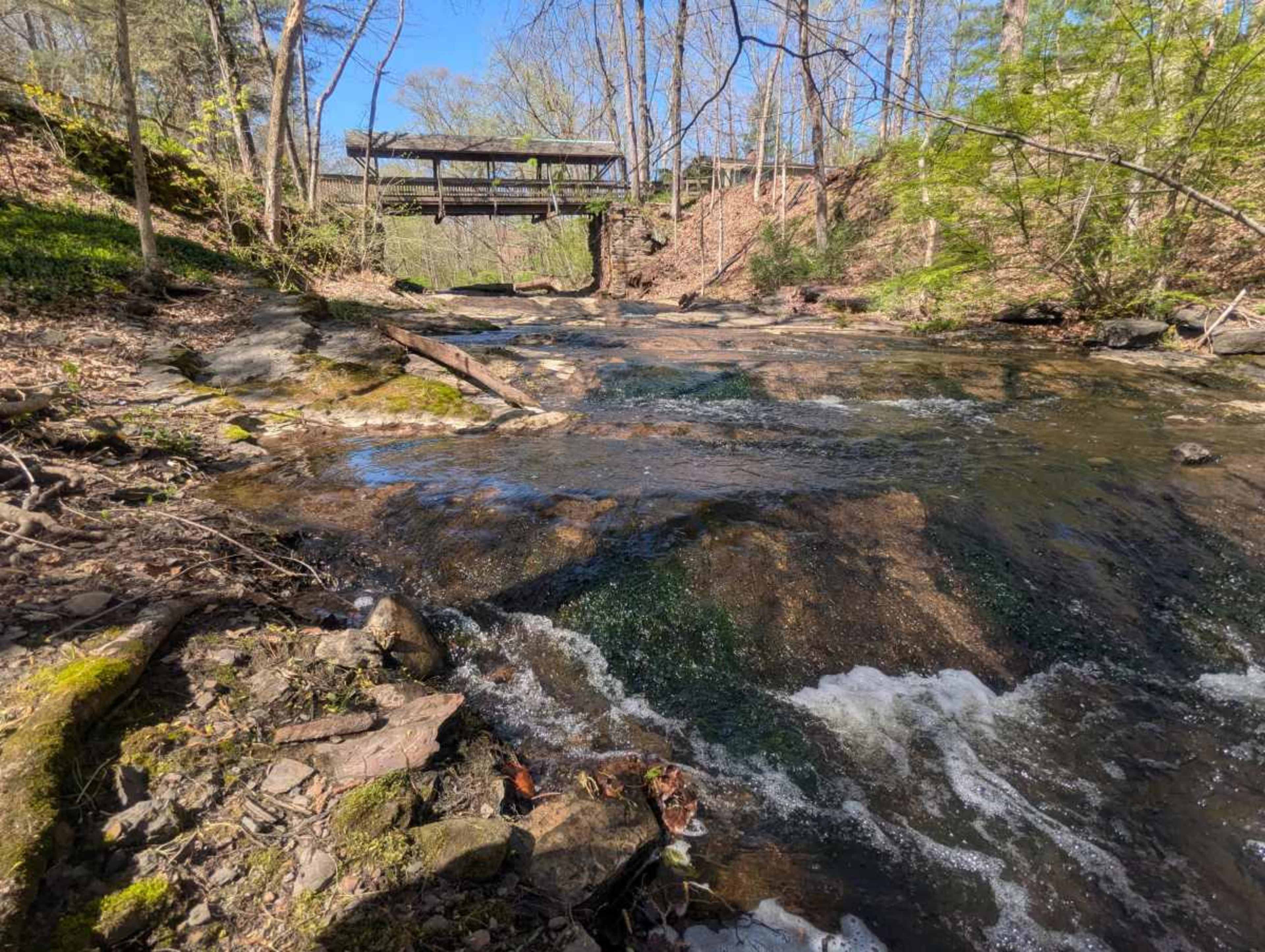 A creek flows through a wooded area with a wooden bridge in the background.
