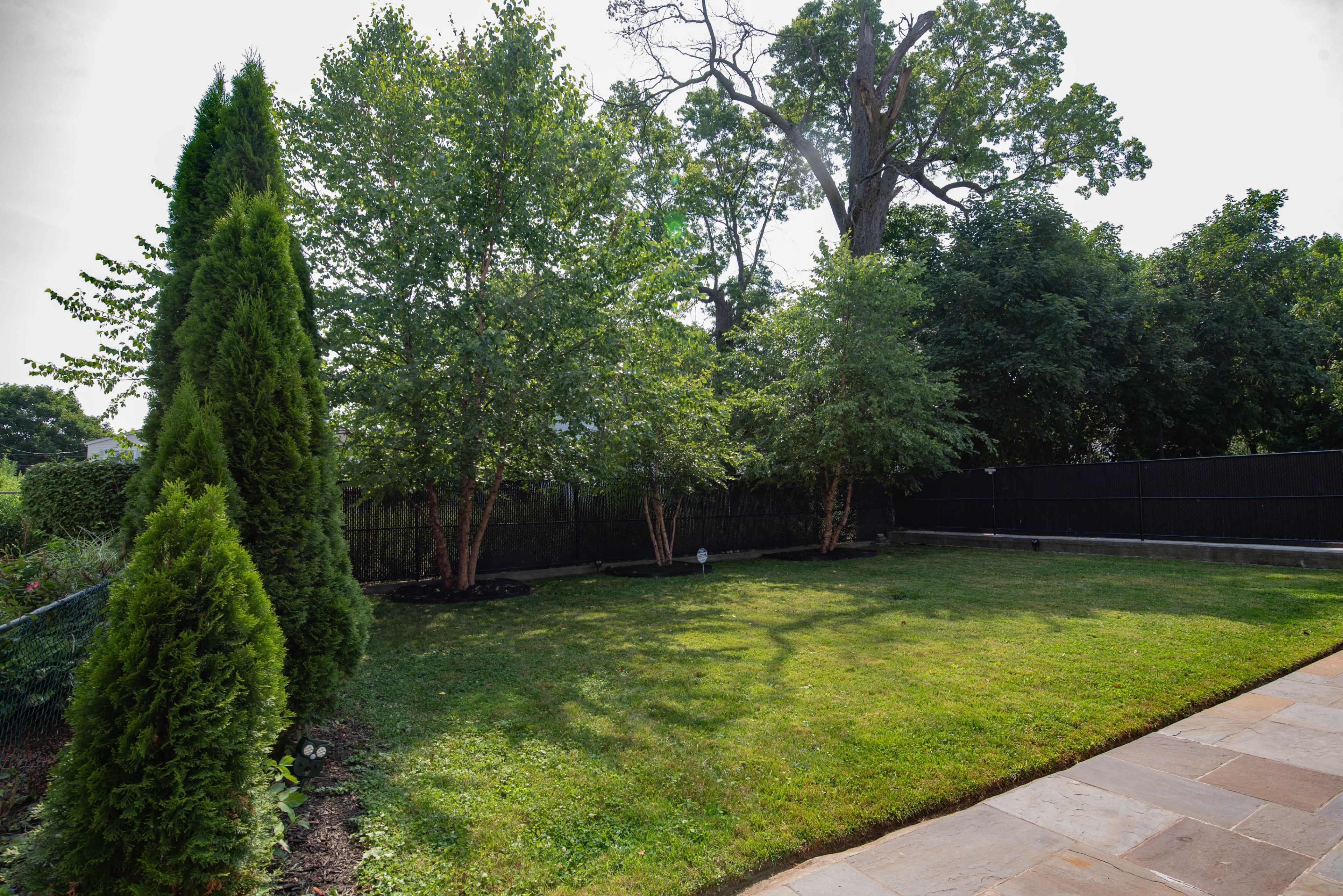 The image shows a spacious backyard with neatly trimmed grass, two trees, and a tall evergreen shrub along the perimeter.