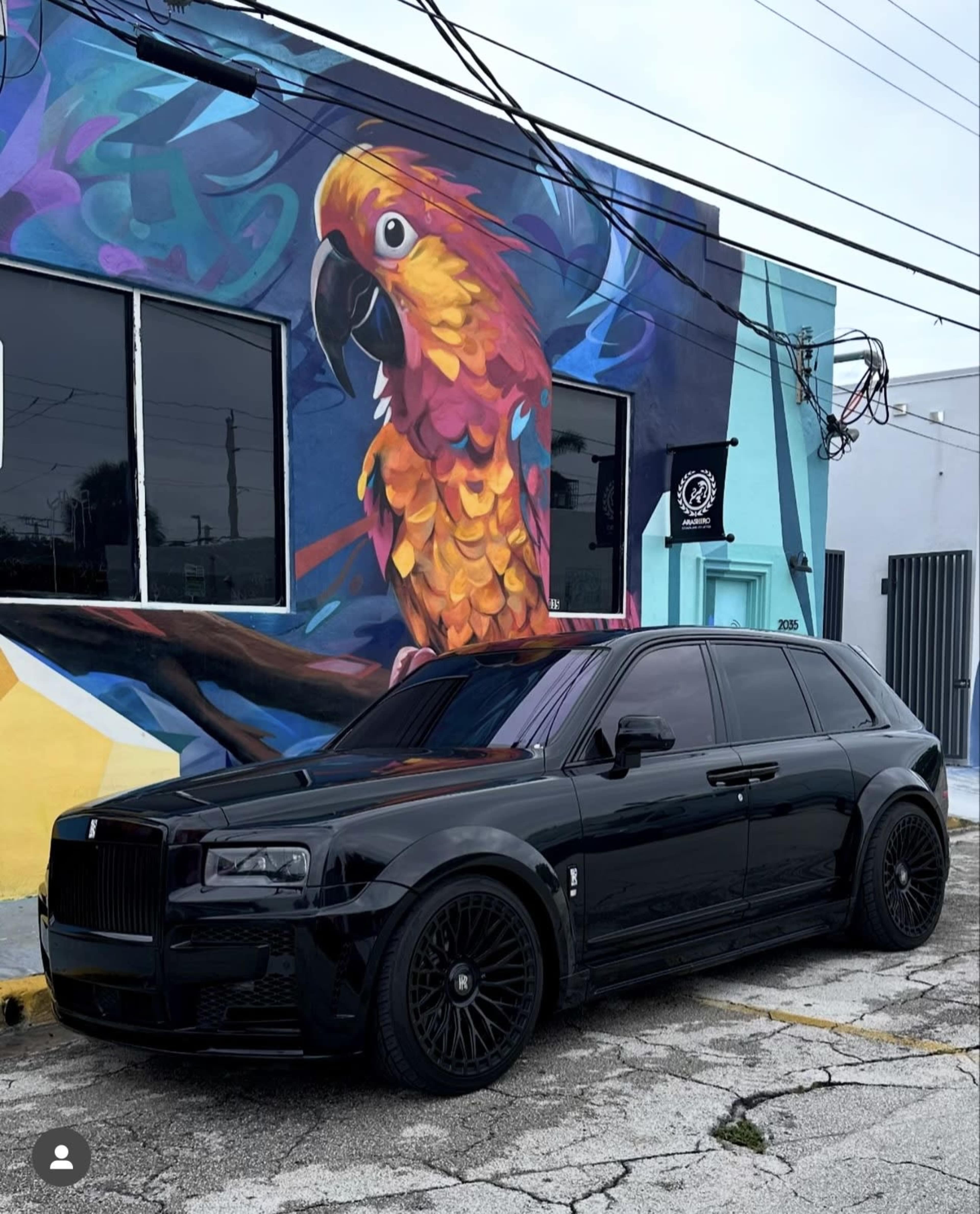 A black Rolls-Royce SUV is parked beside a colorful mural of a parrot on a building.