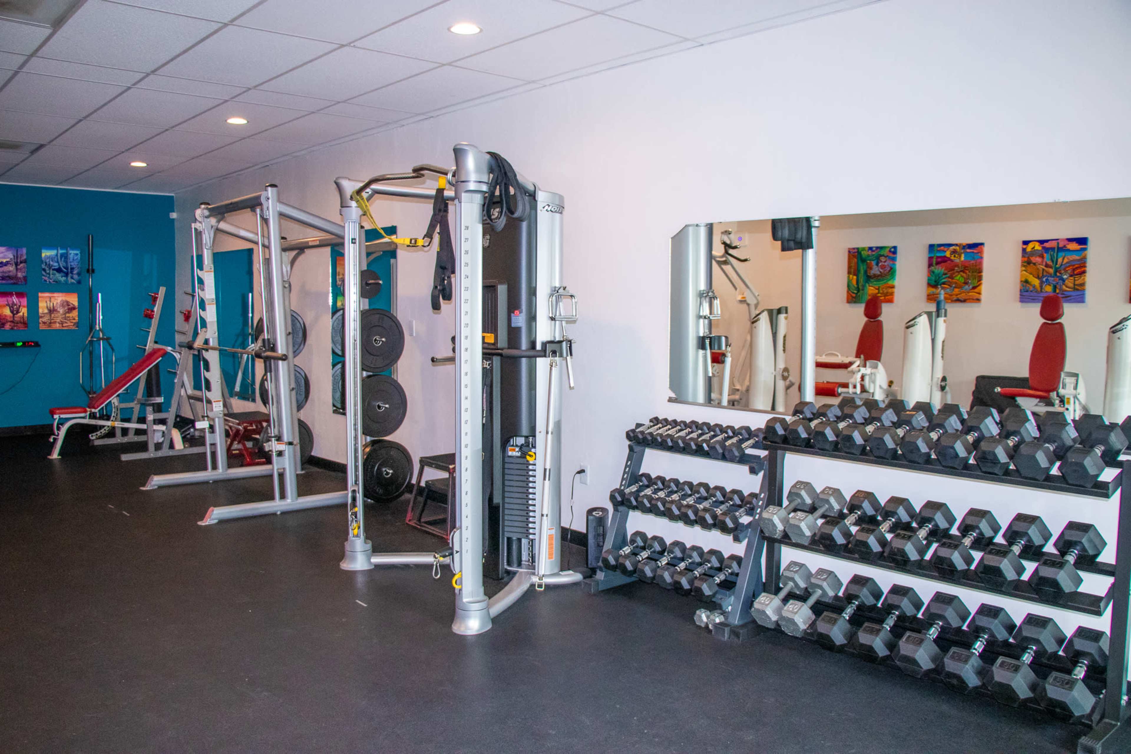 A gym interior featuring various weight machines, exercise equipment, and a rack of dumbbells against a blue and white wall.