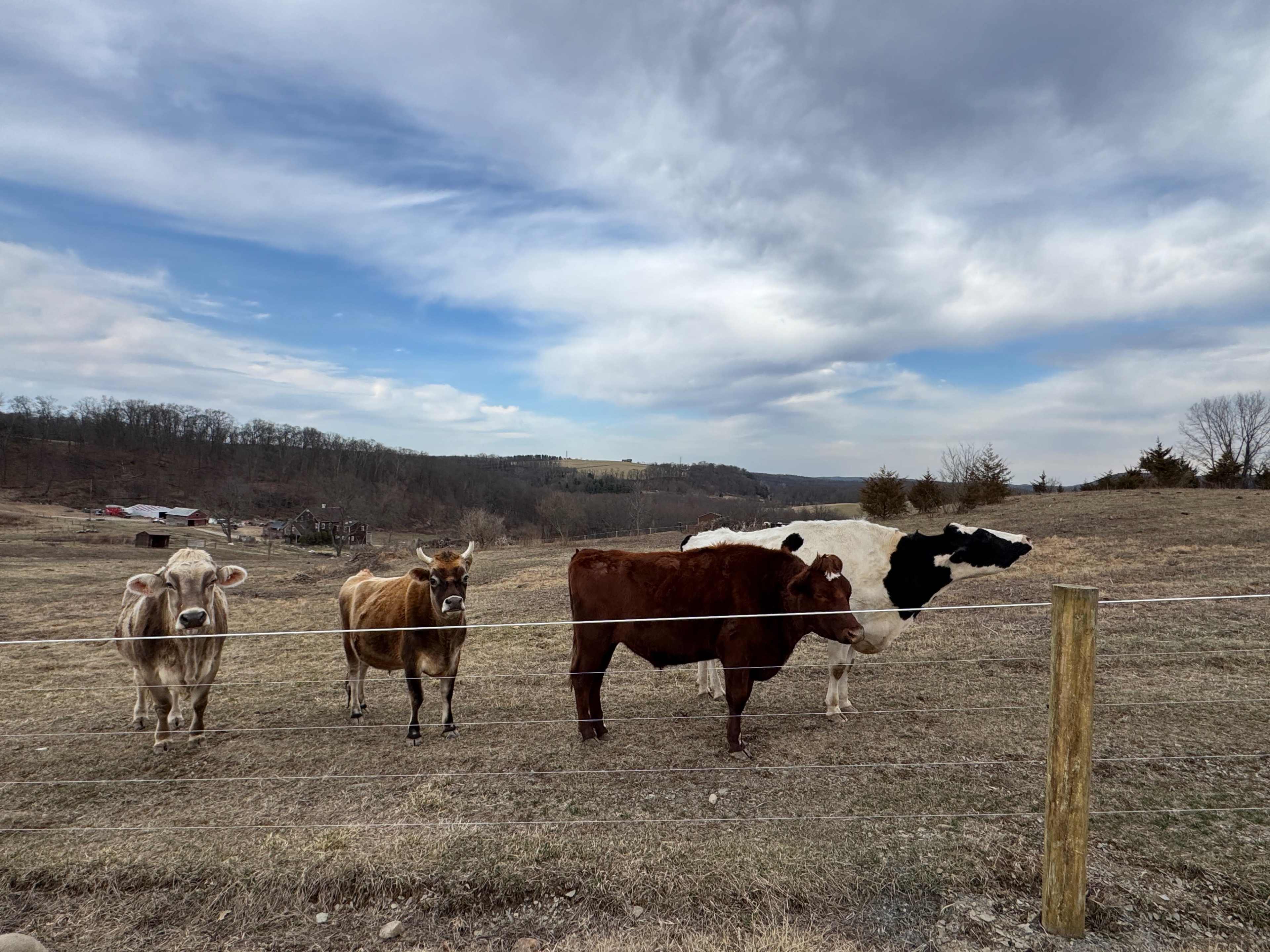 170 acre farm with great views, fields and farm animals Image in Hope, Hope, NJ