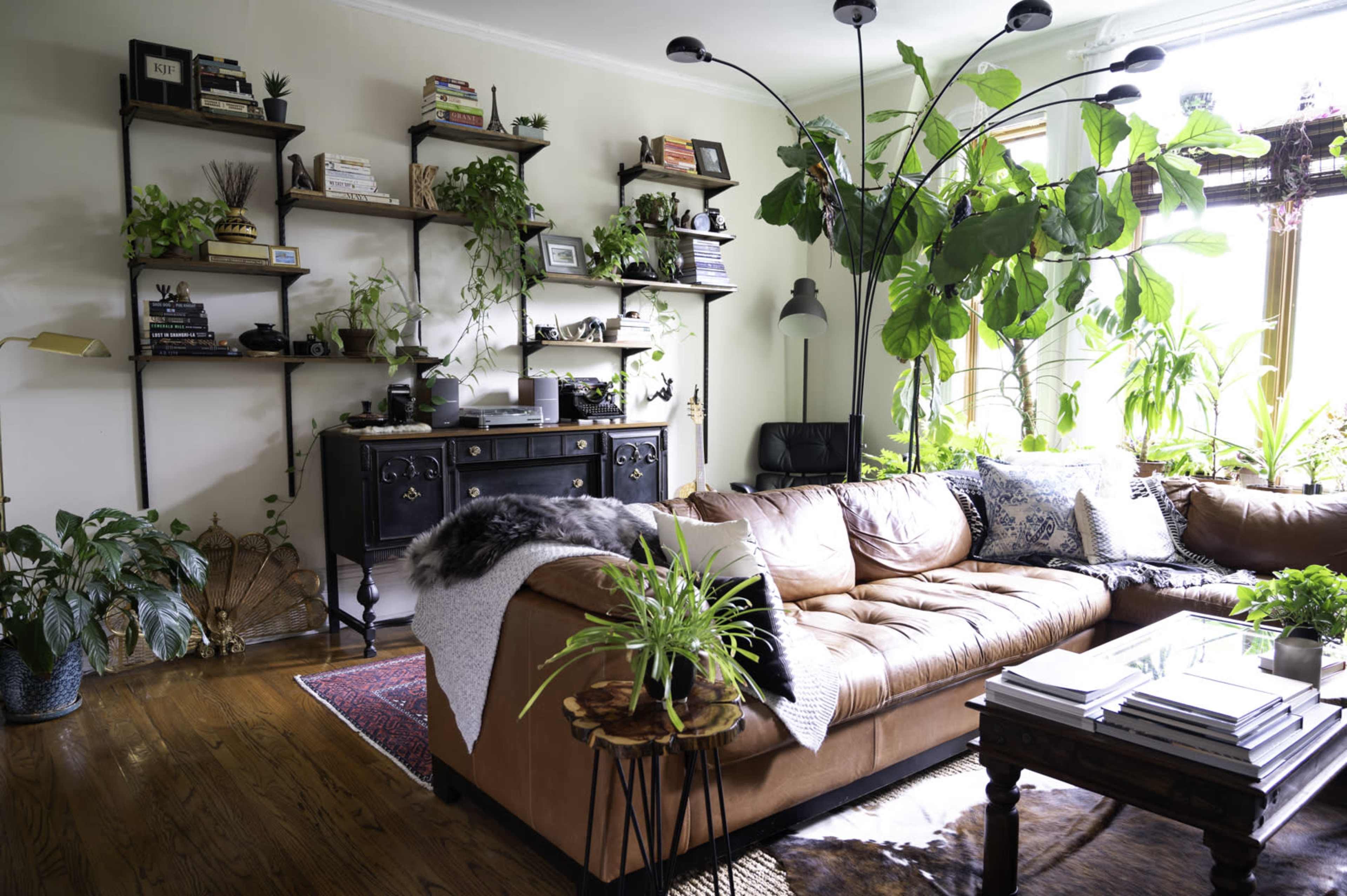A cozy living room features a large leather couch, a dark wooden cabinet, and shelves adorned with plants and books, illuminated by natural light.