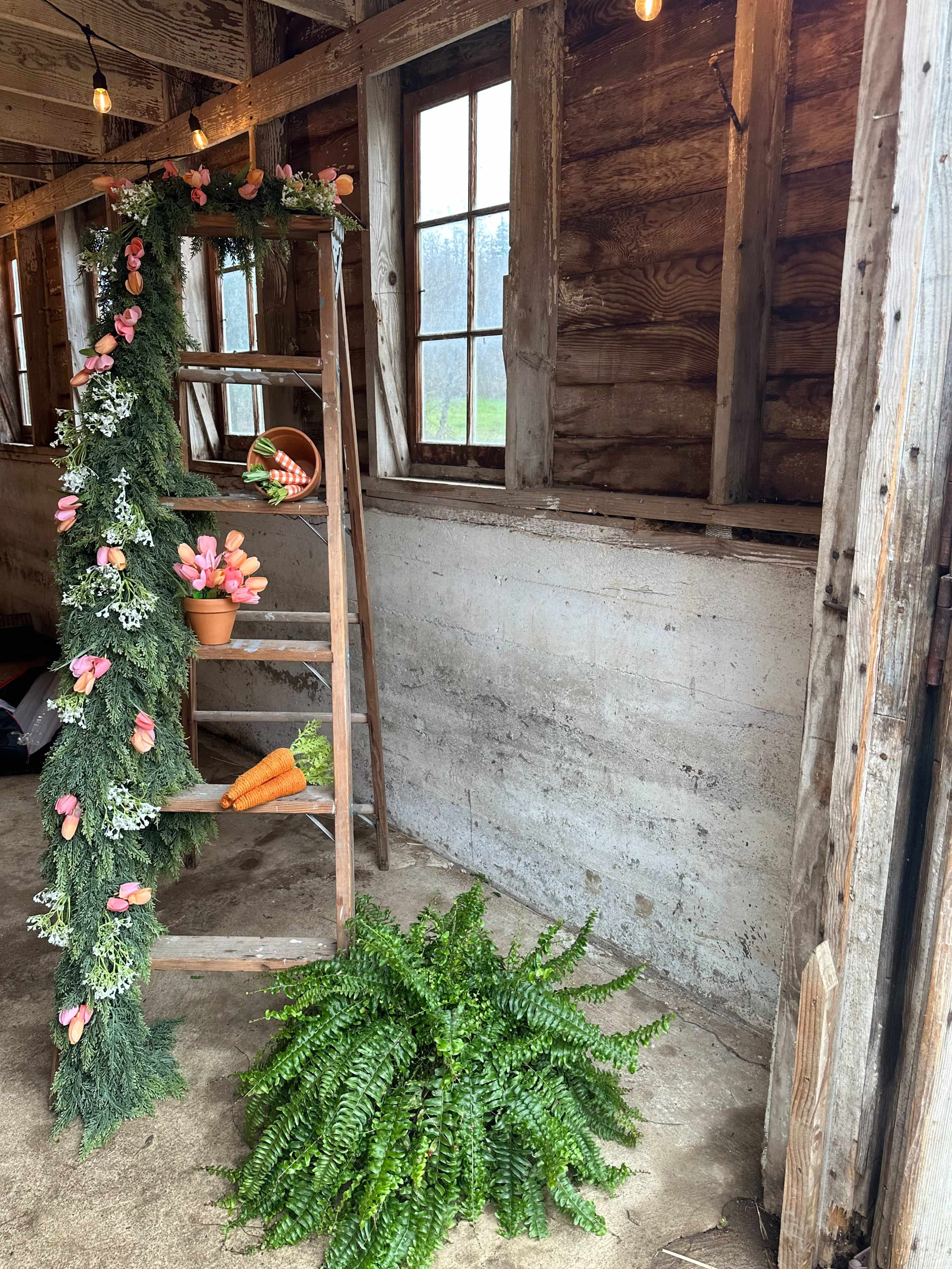 A wooden ladder decorated with flowers and greenery leans against a barn wall, accompanied by a potted plant and a large fern on the ground.