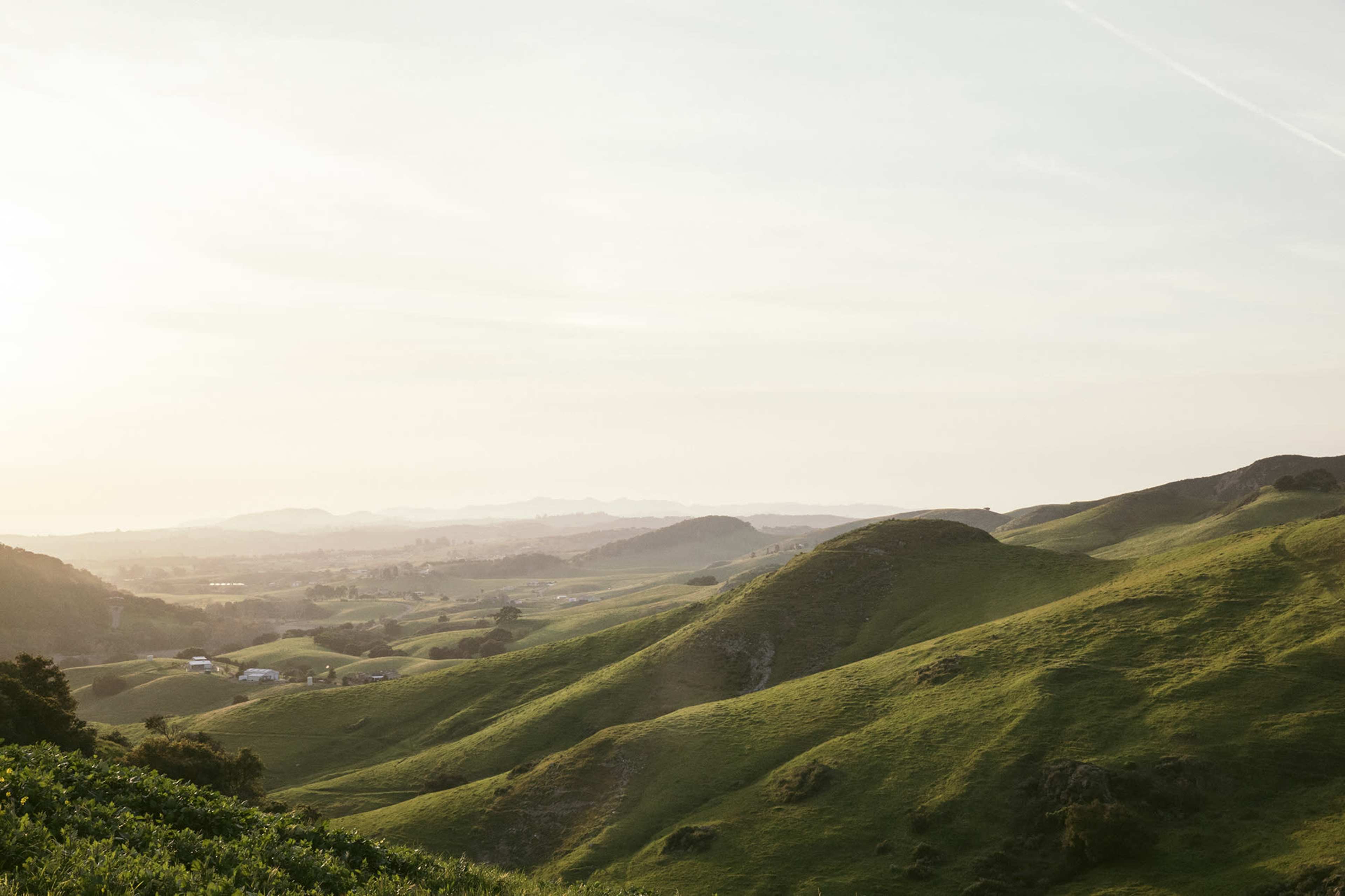 Rolling green hills stretch out under a pale sky, with a distant horizon marked by faint mountain ridges.